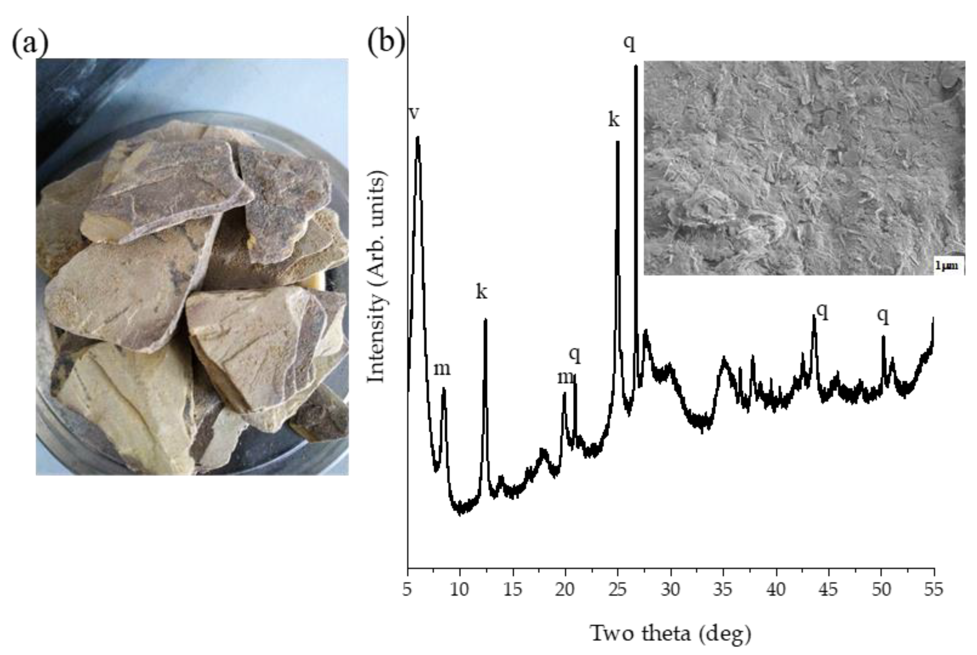 Materials 14 03738 g001