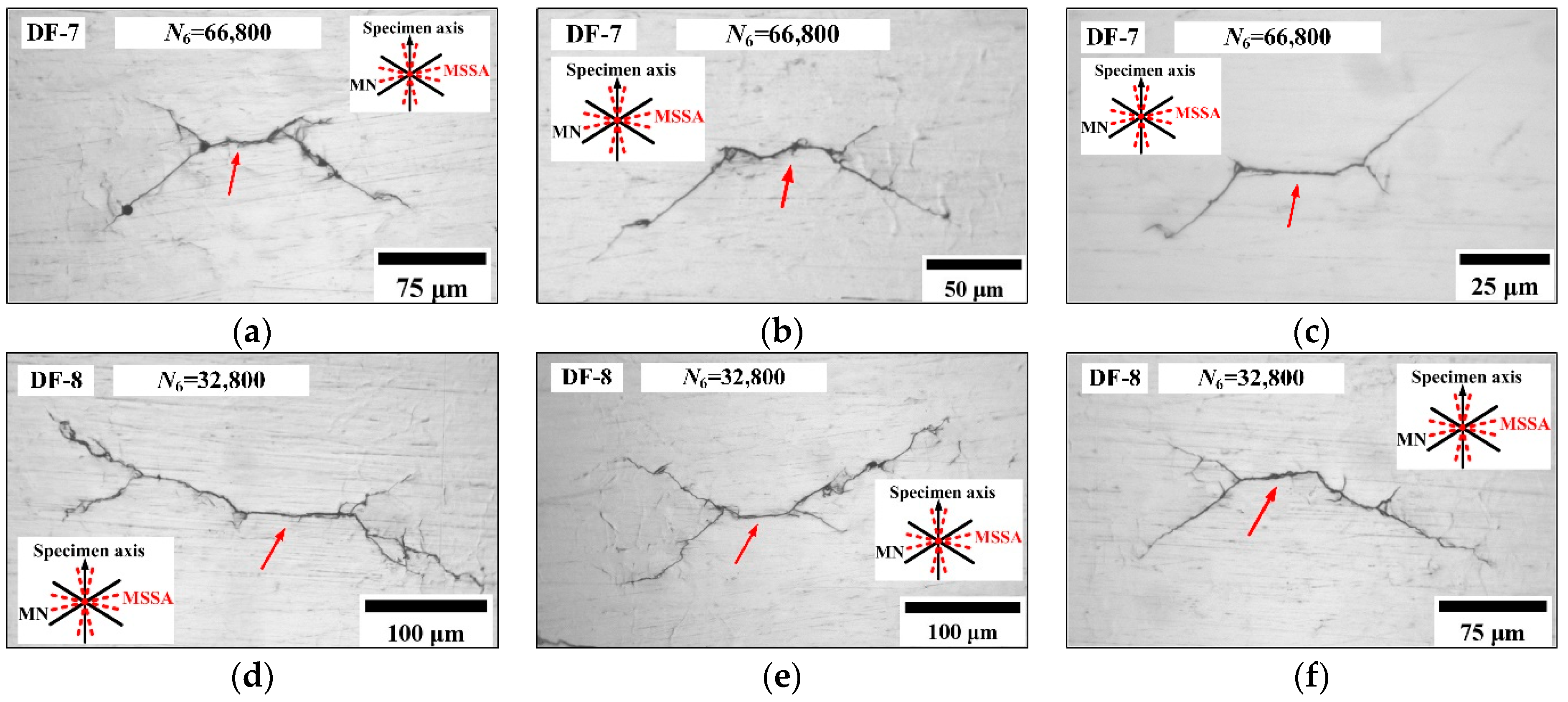 Materials 14 03968 g012
