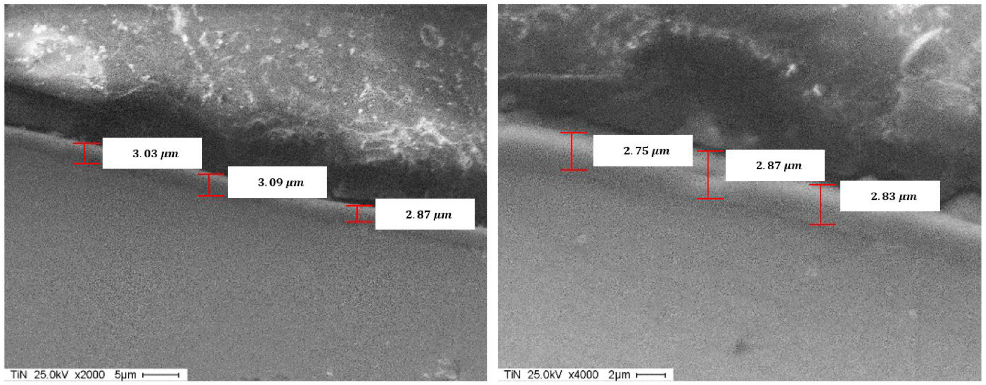 Materials 14 04626 g012