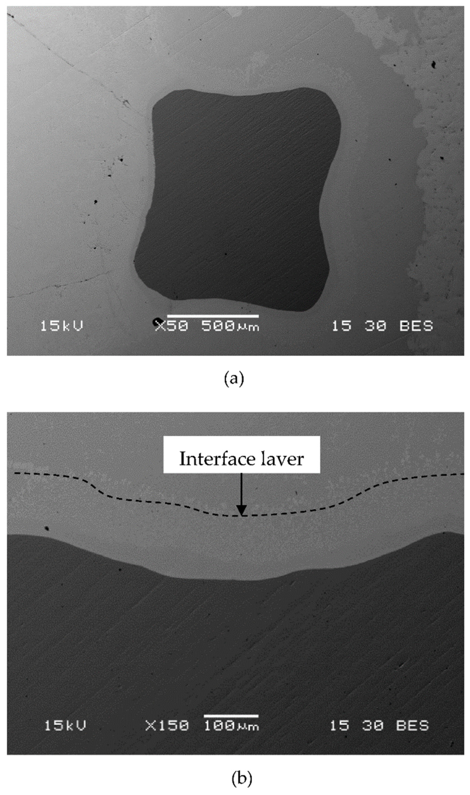 Materials 14 04682 g002