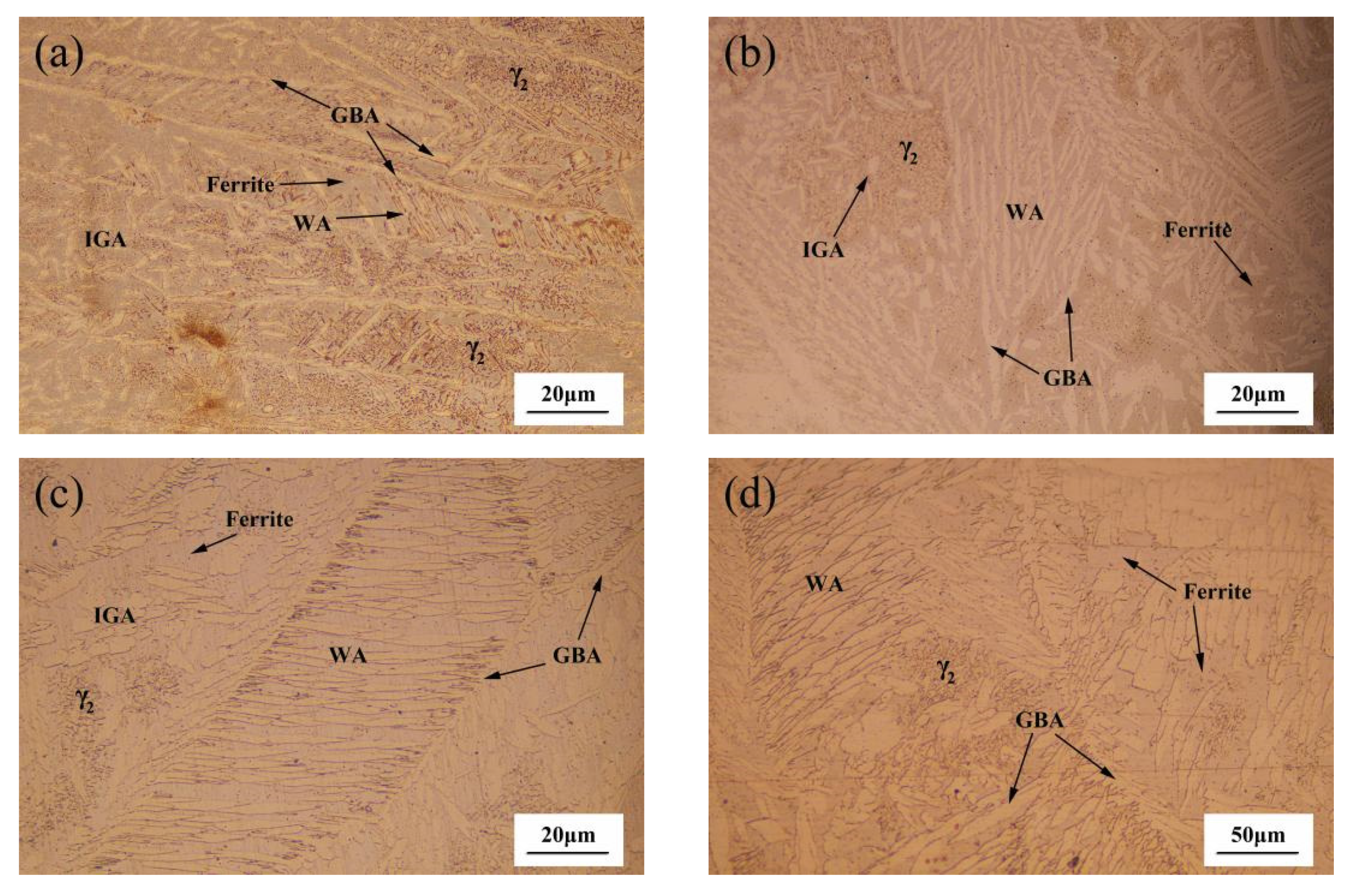 Materials 14 04774 g005