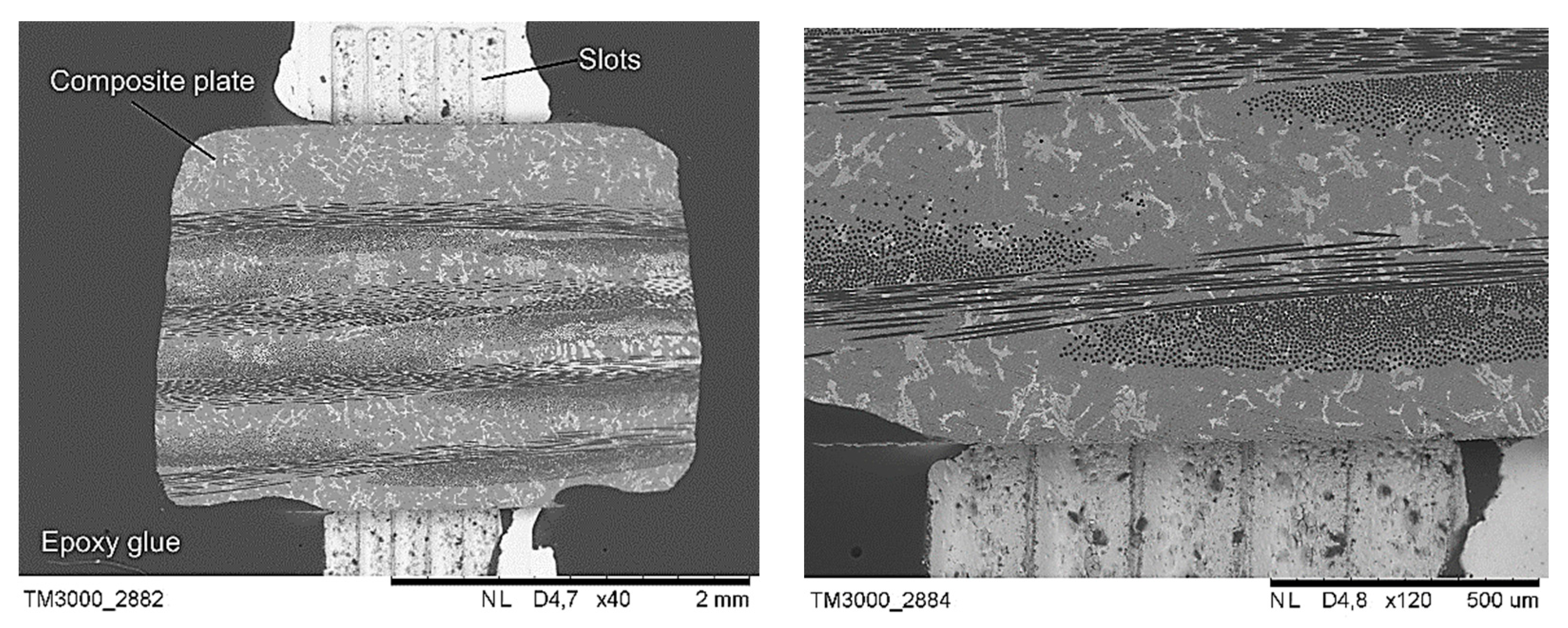 Materials 14 05092 g002