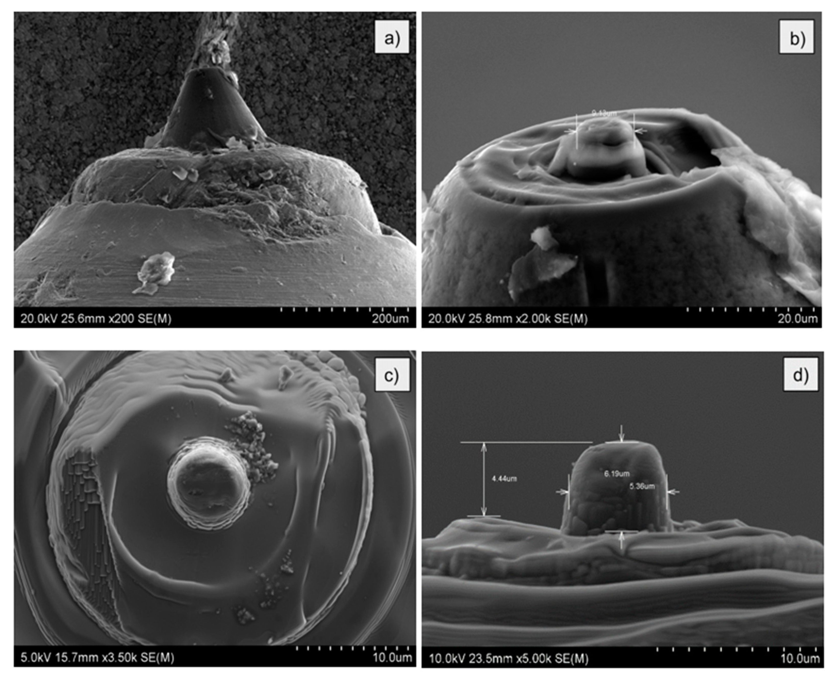 Materials 14 05092 g003