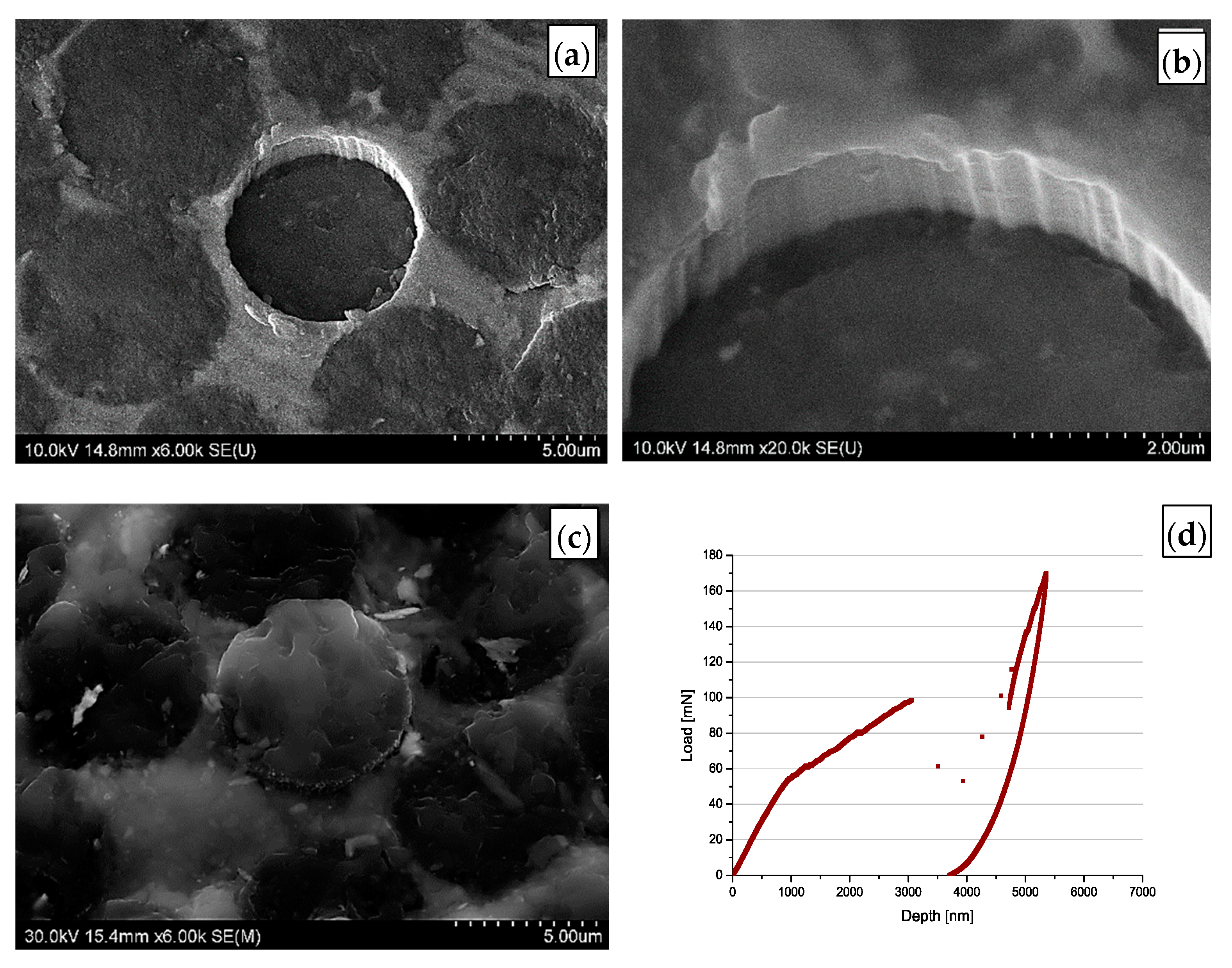 Materials 14 05092 g005