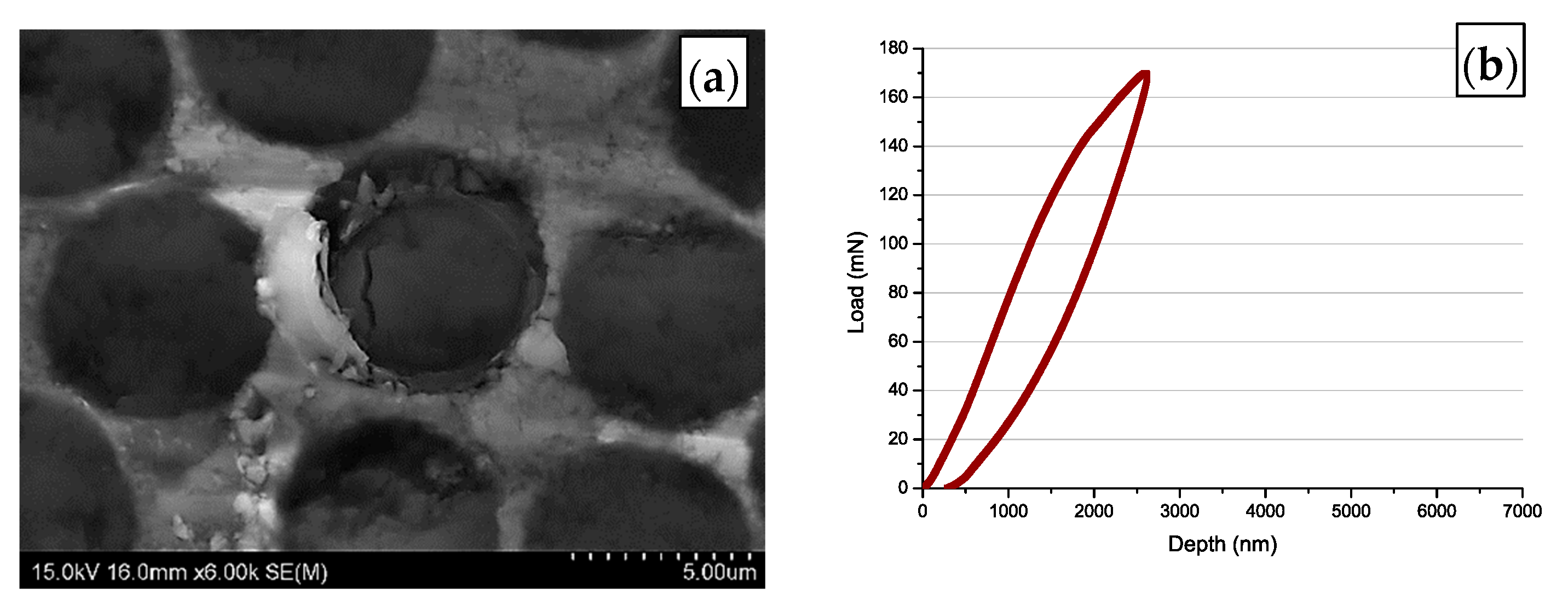 Materials 14 05092 g009