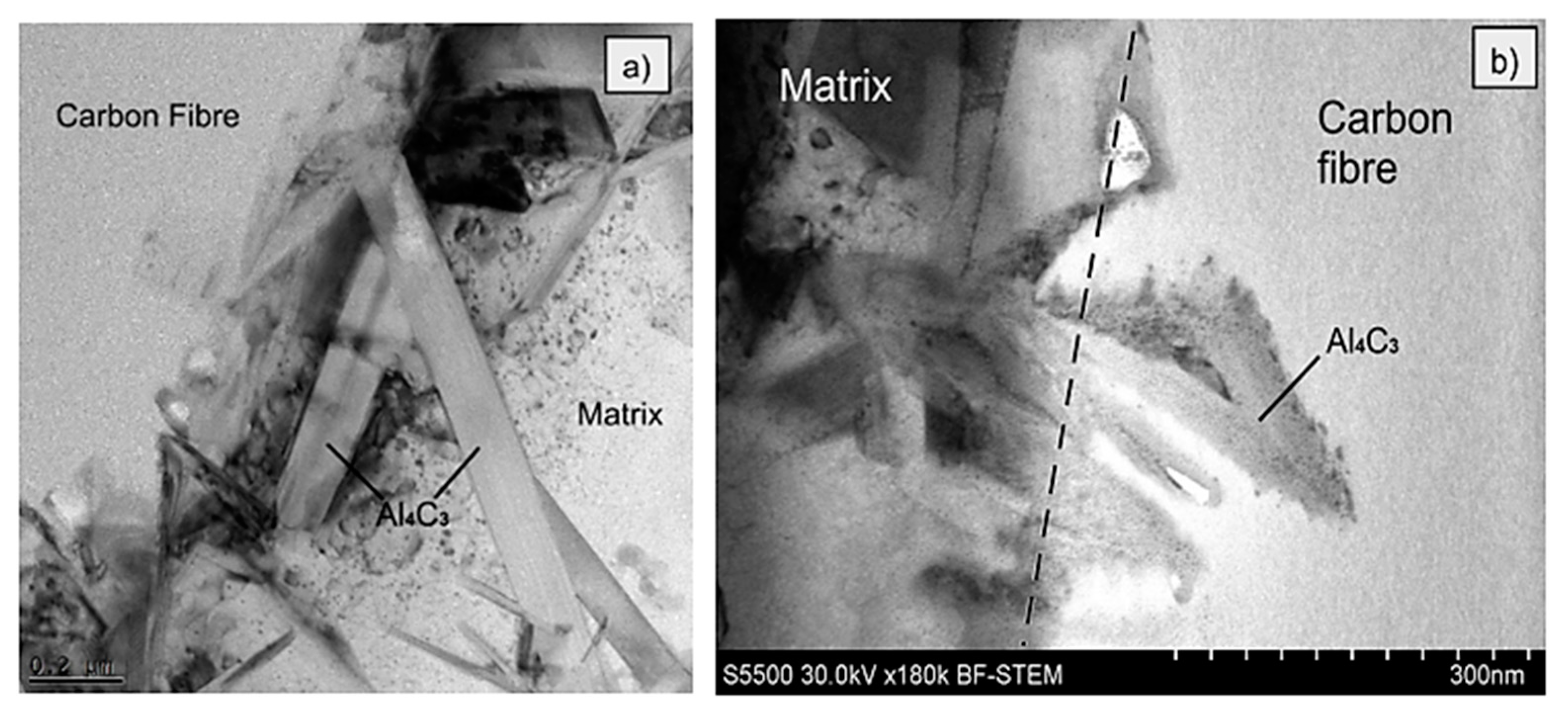 Materials 14 05092 g014