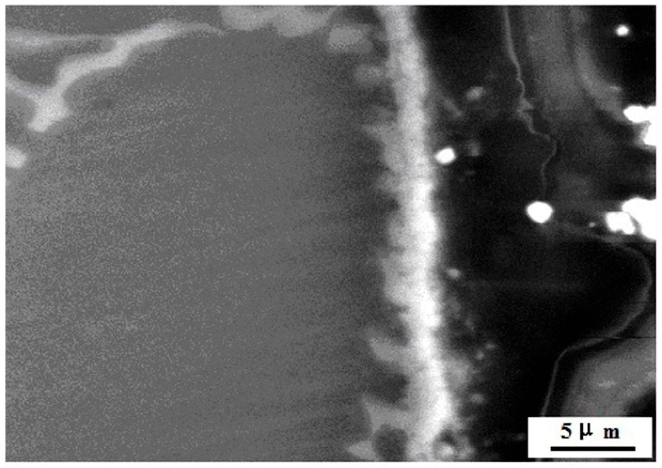 Materials 14 05230 g006