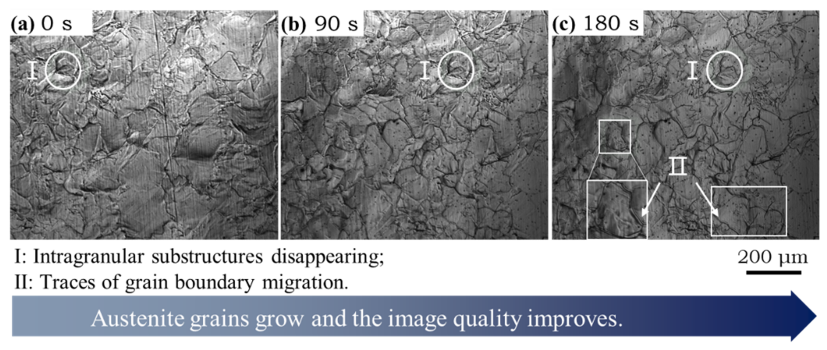 Materials 14 05274 g007