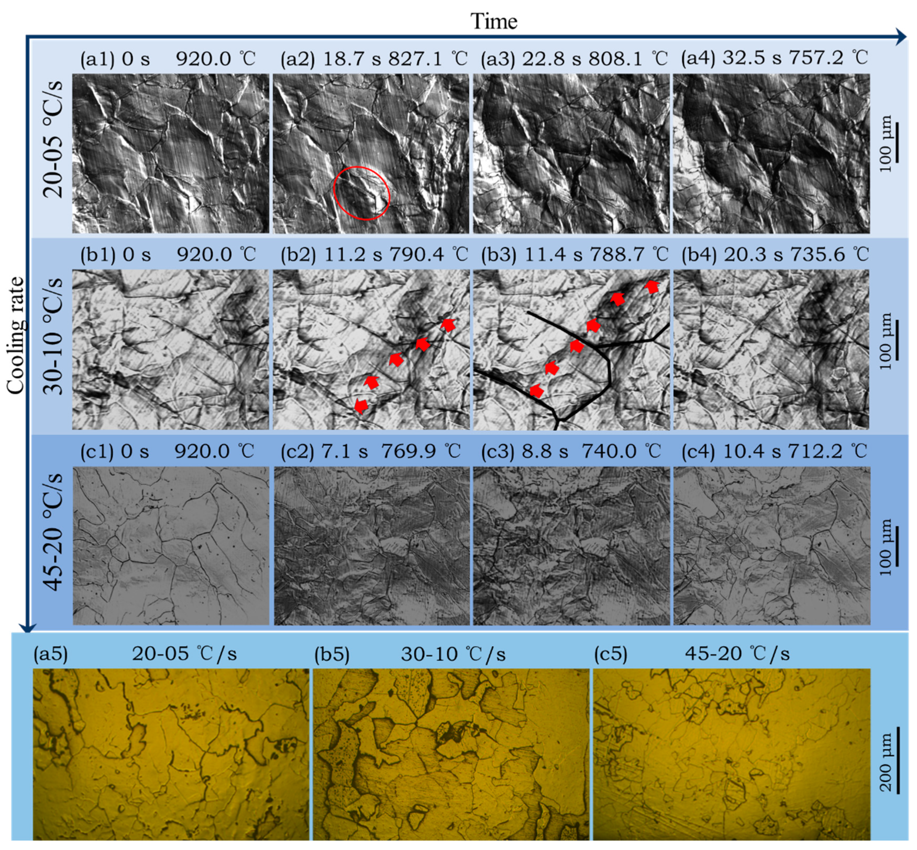 Materials 14 05274 g008