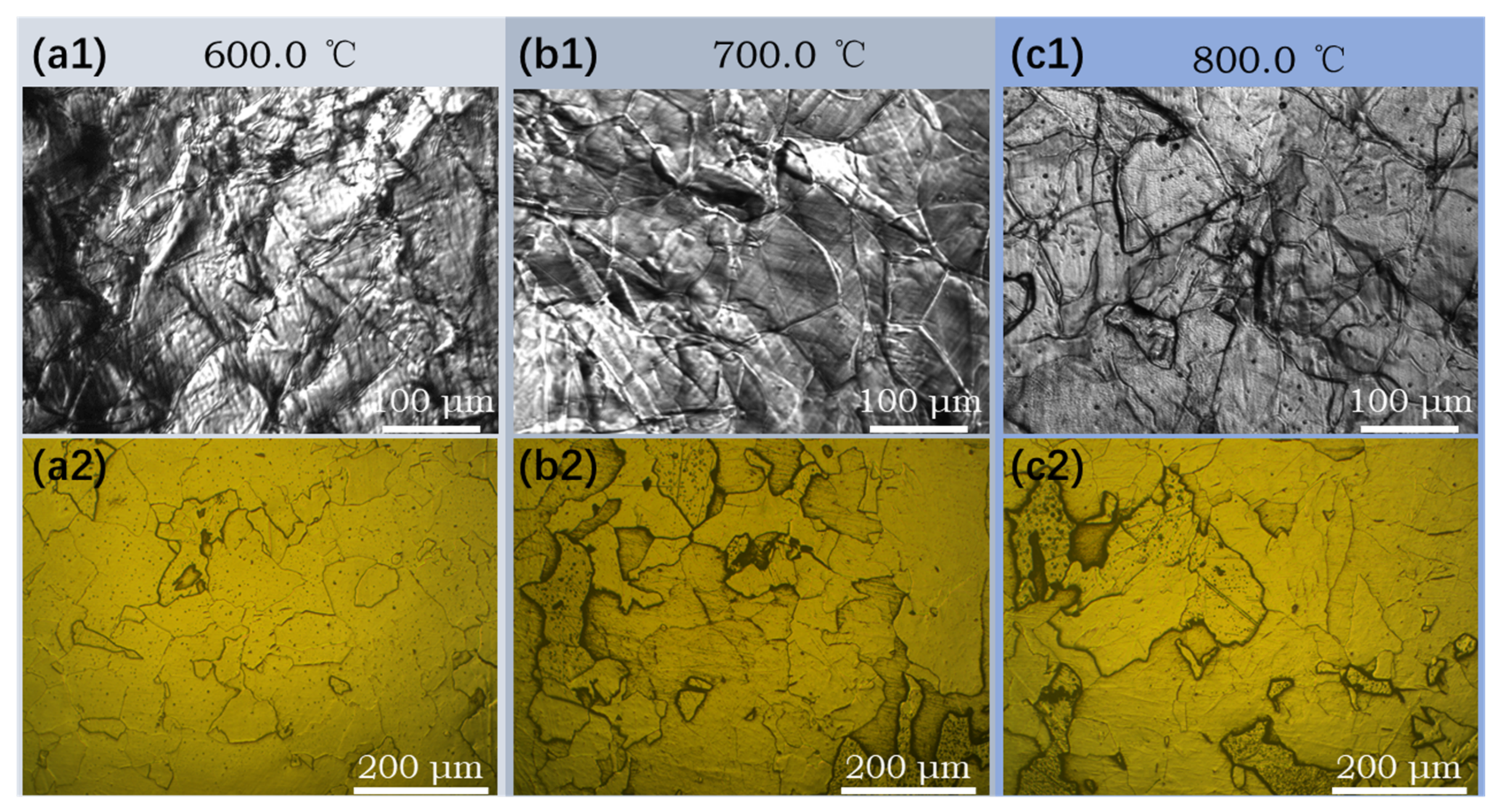 Materials 14 05274 g010