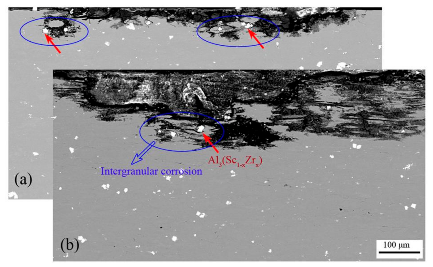Materials 14 05516 g012