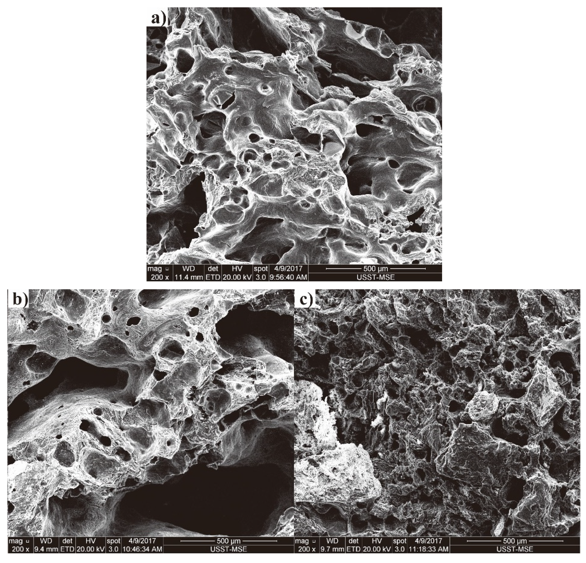 Materials 14 05767 g003