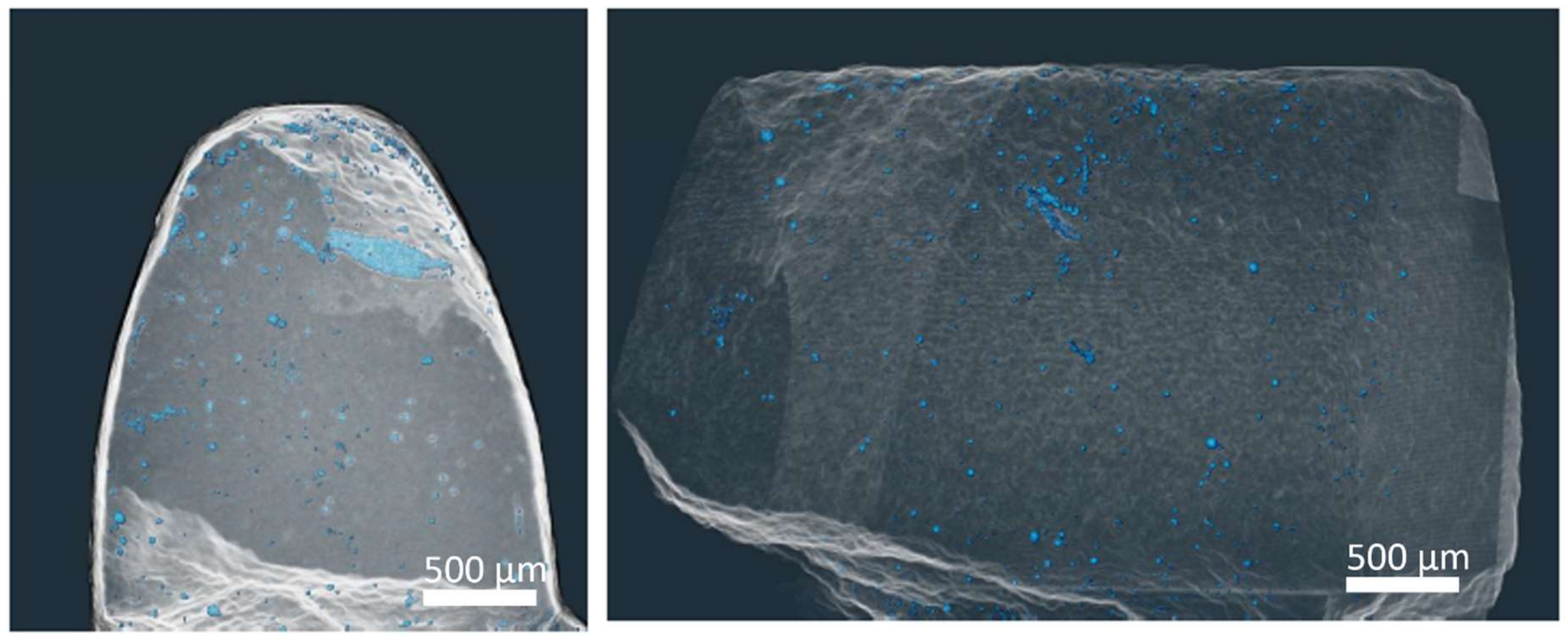 Materials 14 05862 g010