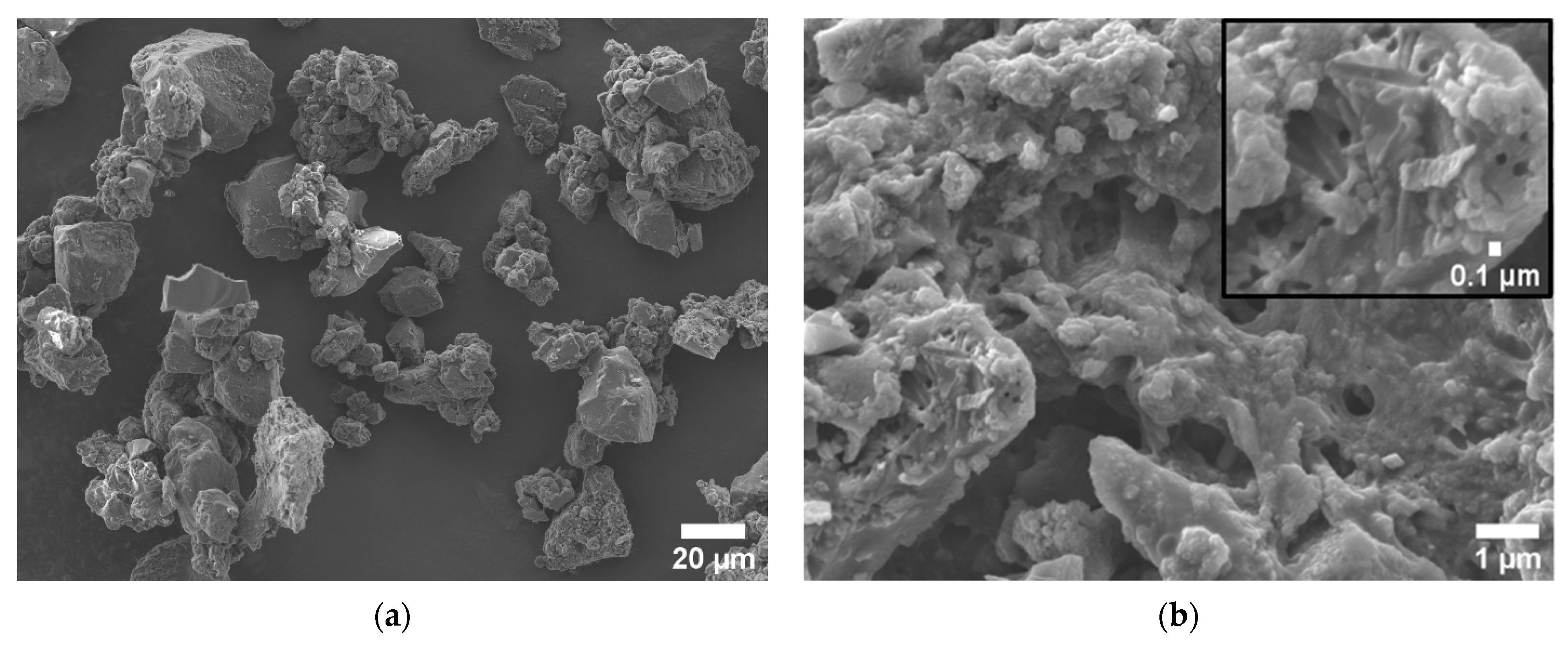 Materials 14 05995 g001a