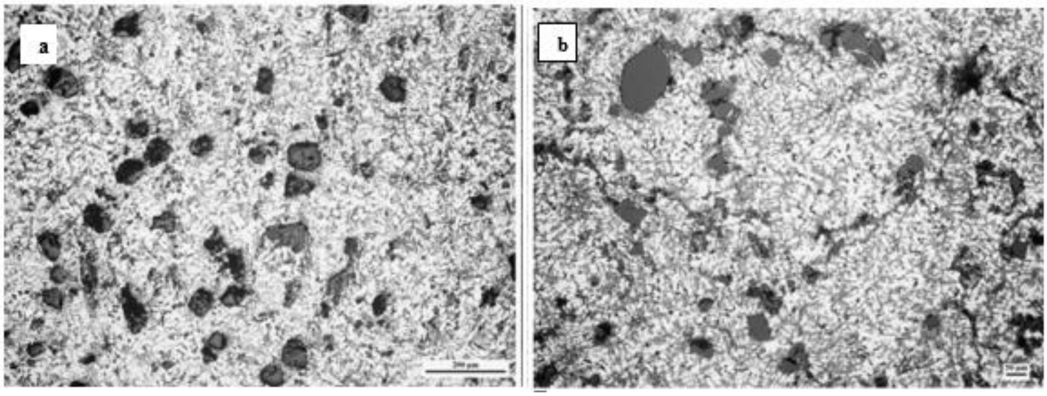 Materials 14 06386 g005