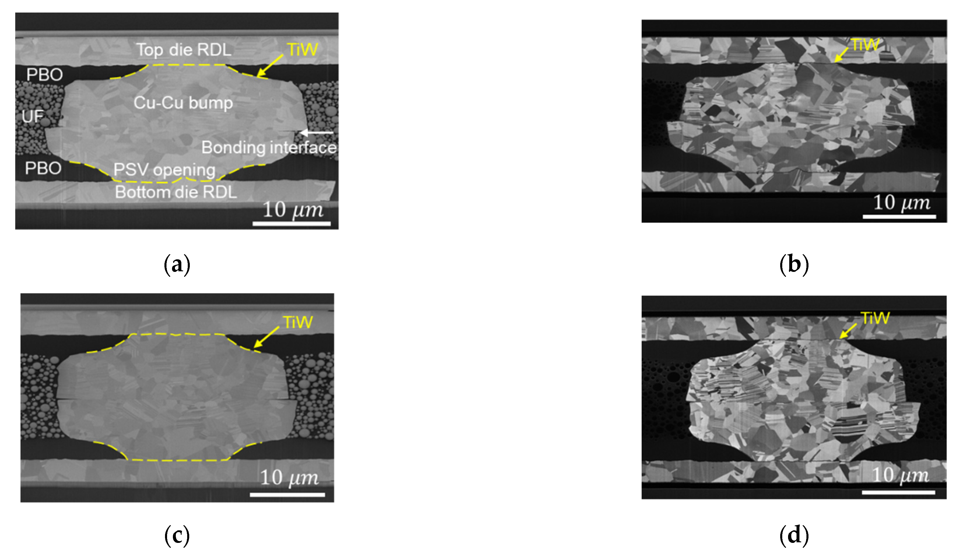 Materials 14 06394 g002
