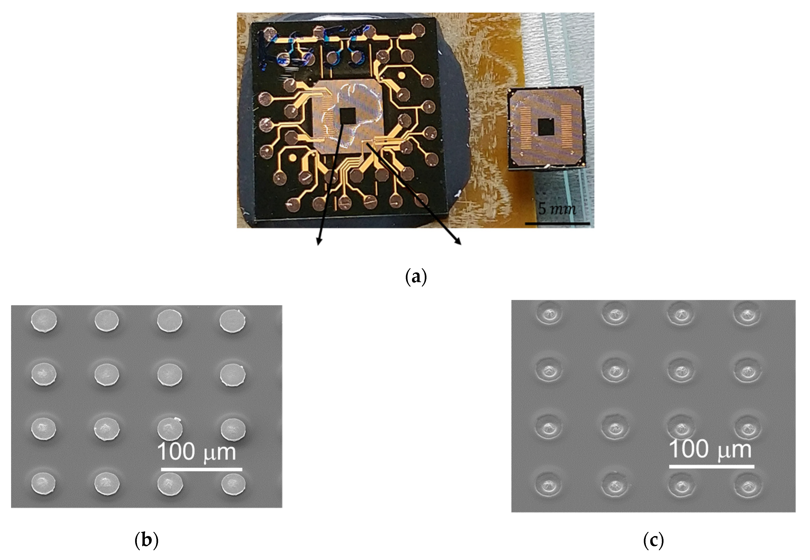 Materials 14 06394 g010