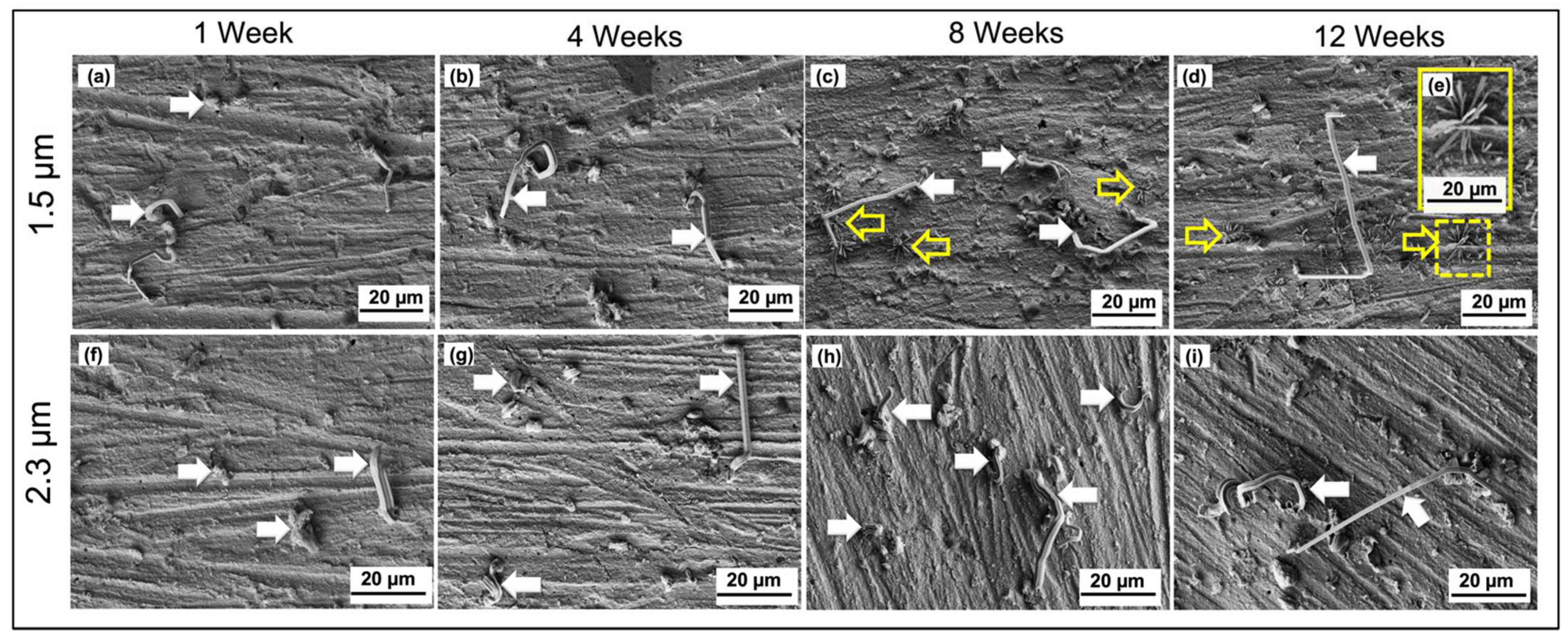 Materials 14 06817 g003