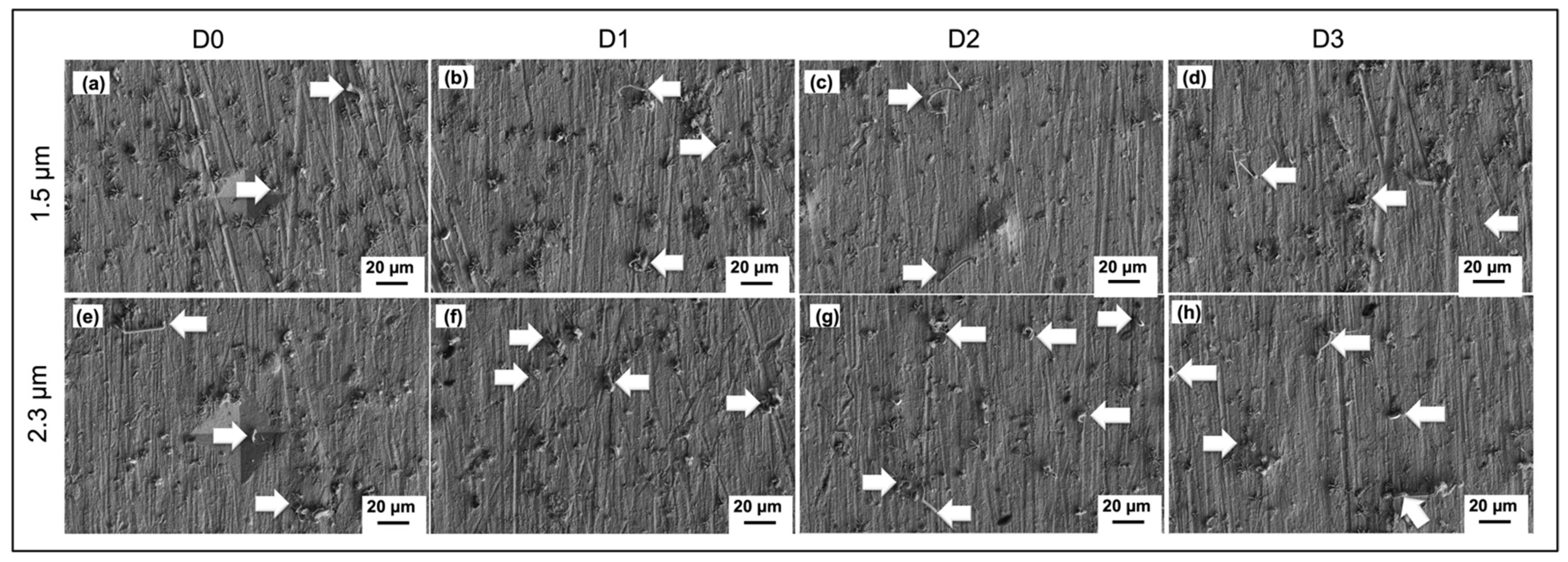 Materials 14 06817 g008