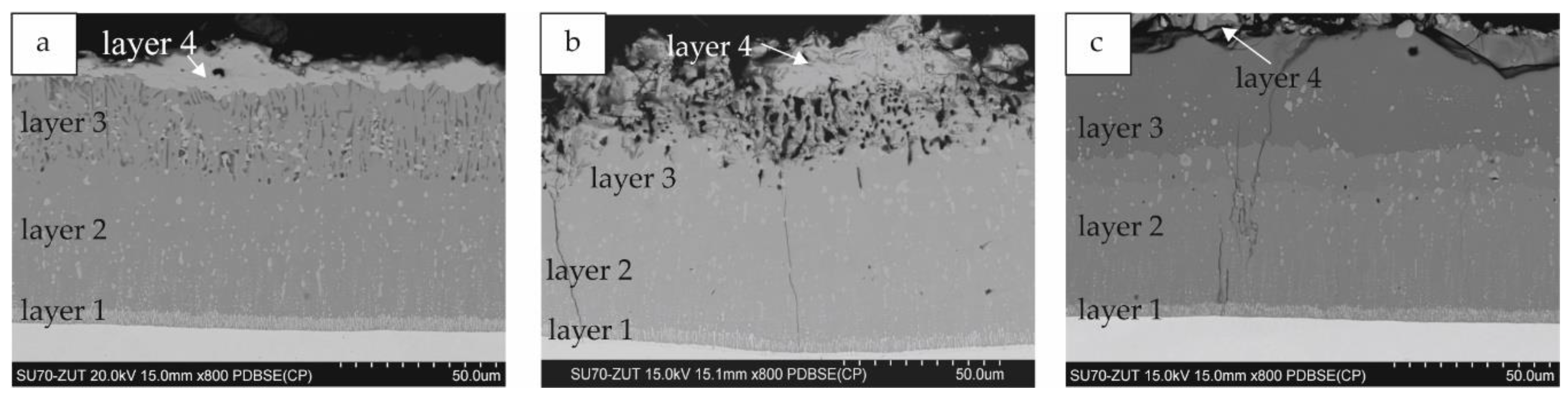 Materials 14 06940 g007