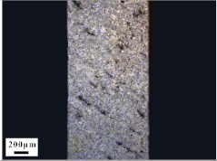 Materials 14 07149 i003