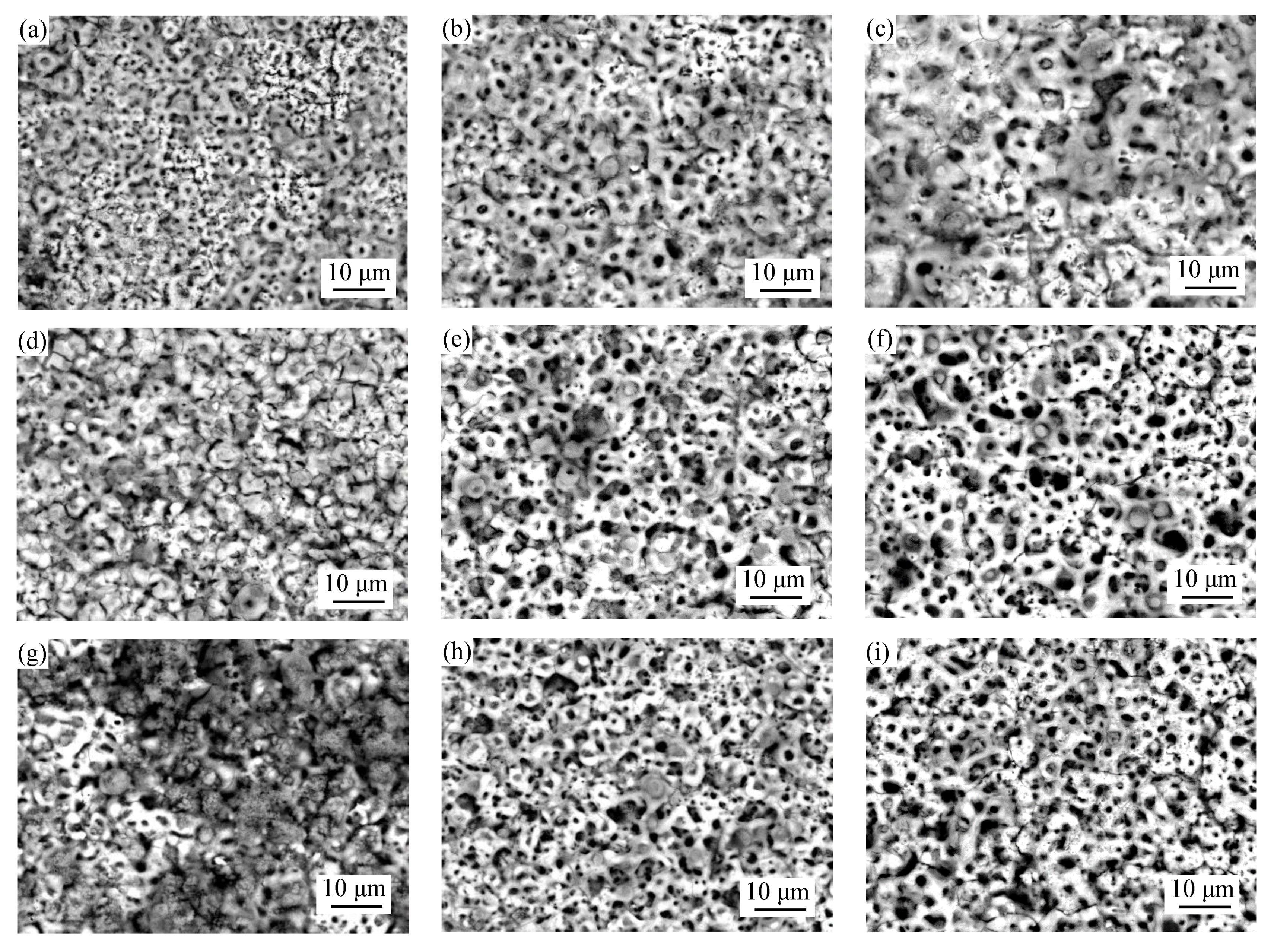 Materials 14 07410 g002