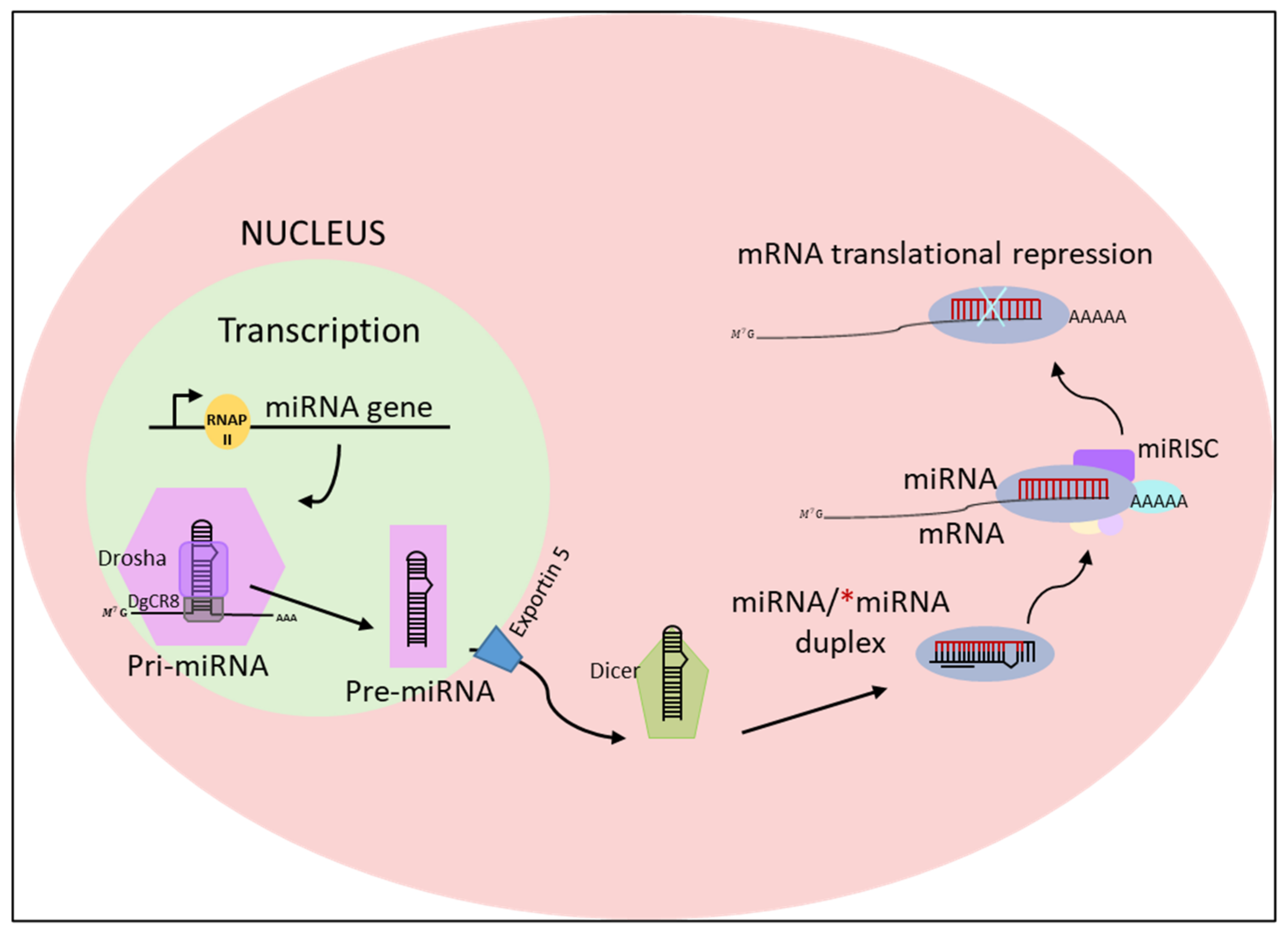 Materials 15 00126 g003