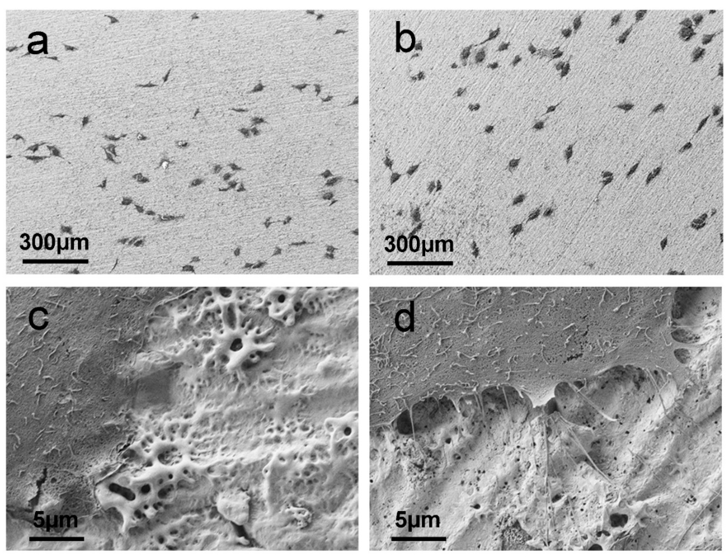 Materials 15 00473 g005