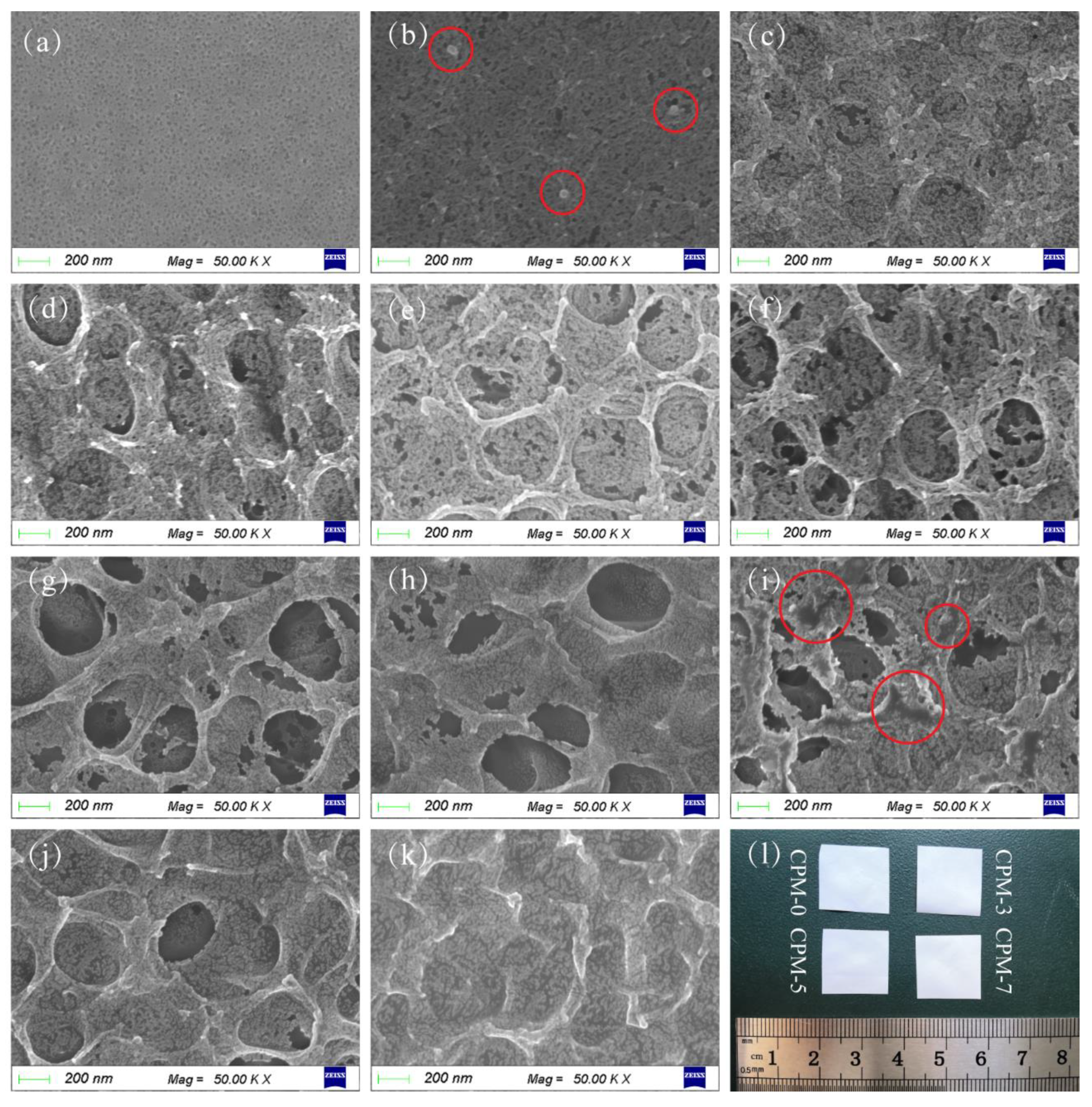 Materials 15 01584 g002
