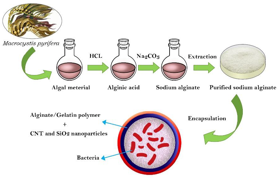 Materials 15 02114 g001