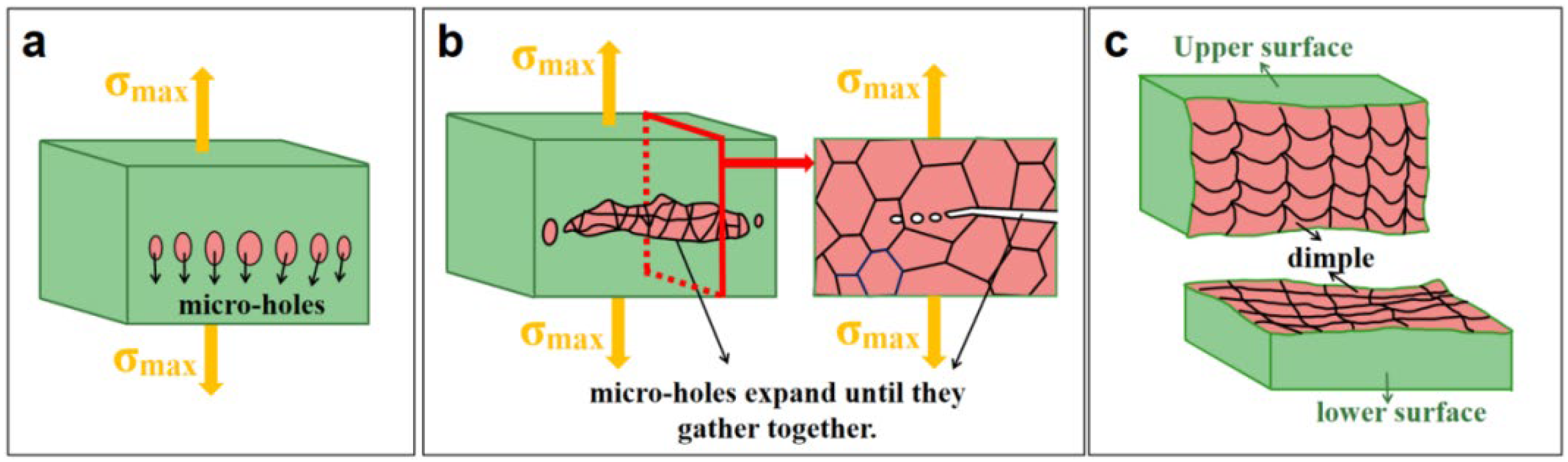 Materials 15 02367 g017