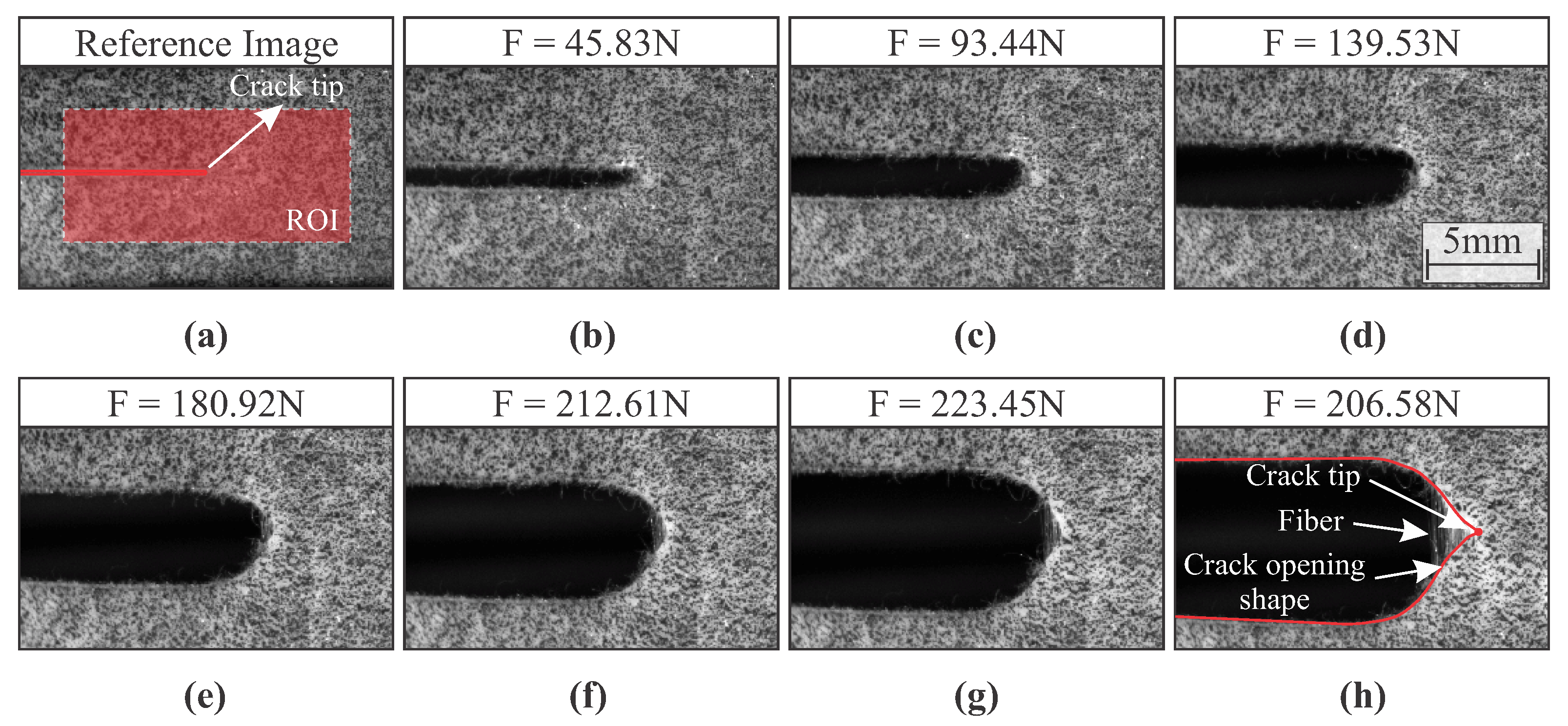 Materials 15 02413 g006