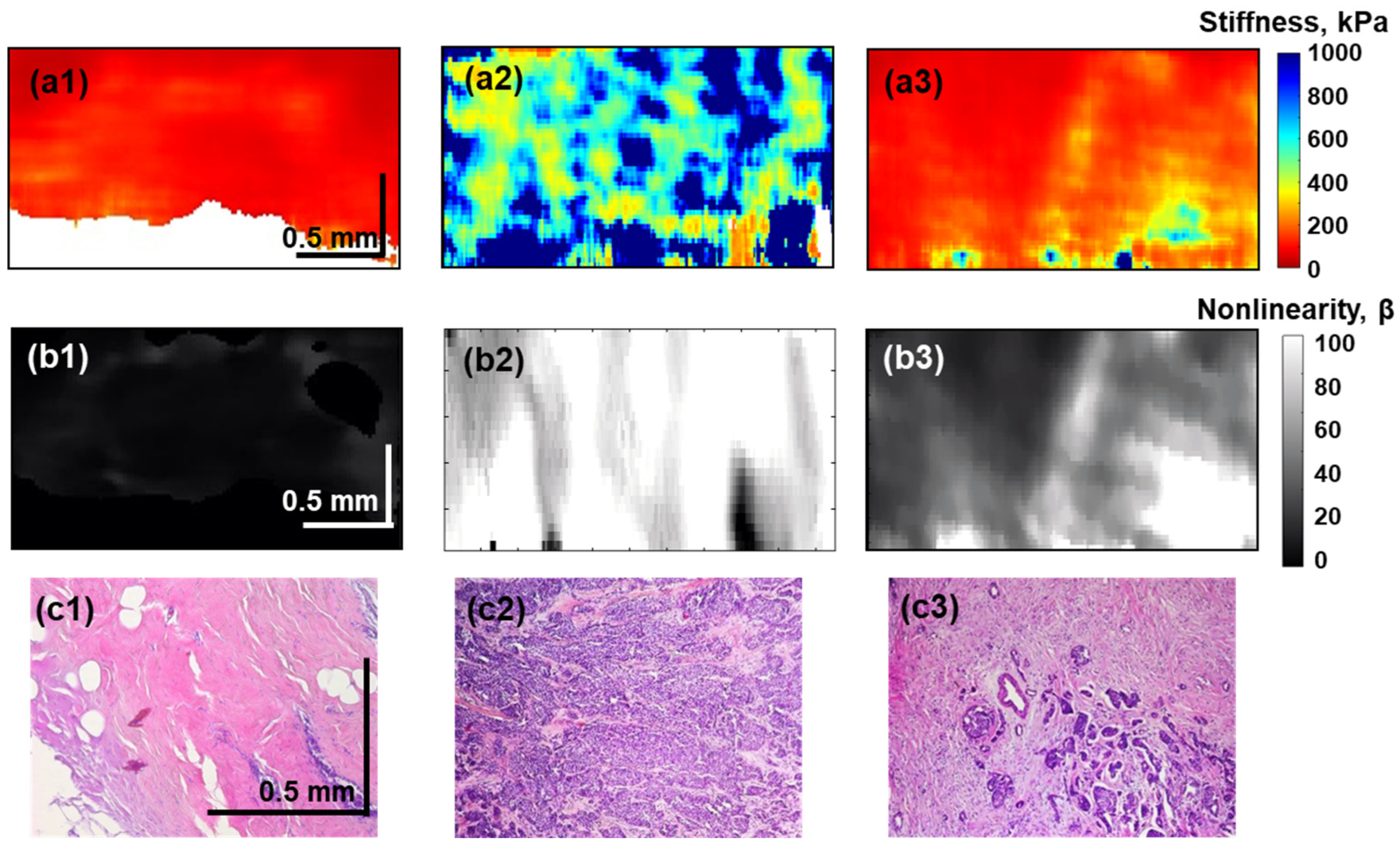 Materials 15 03308 g004