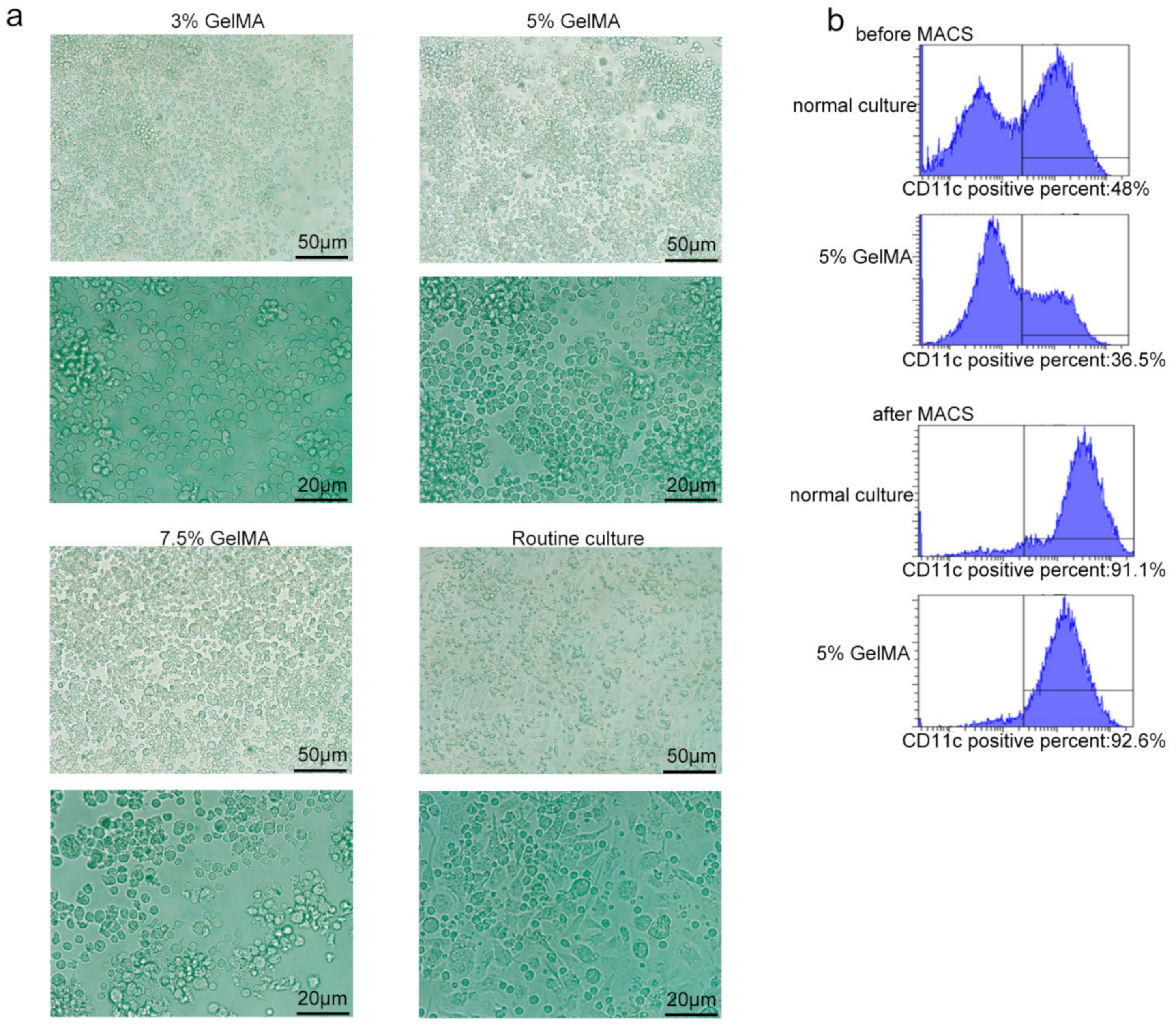 Materials 15 03322 g002
