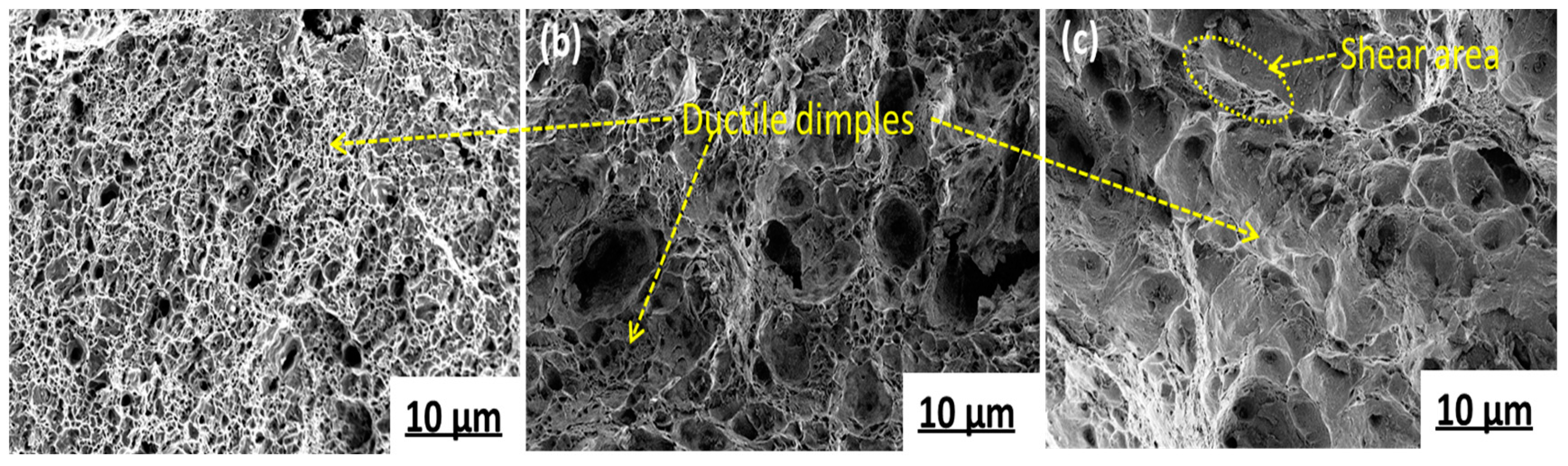 Materials 15 03438 g013