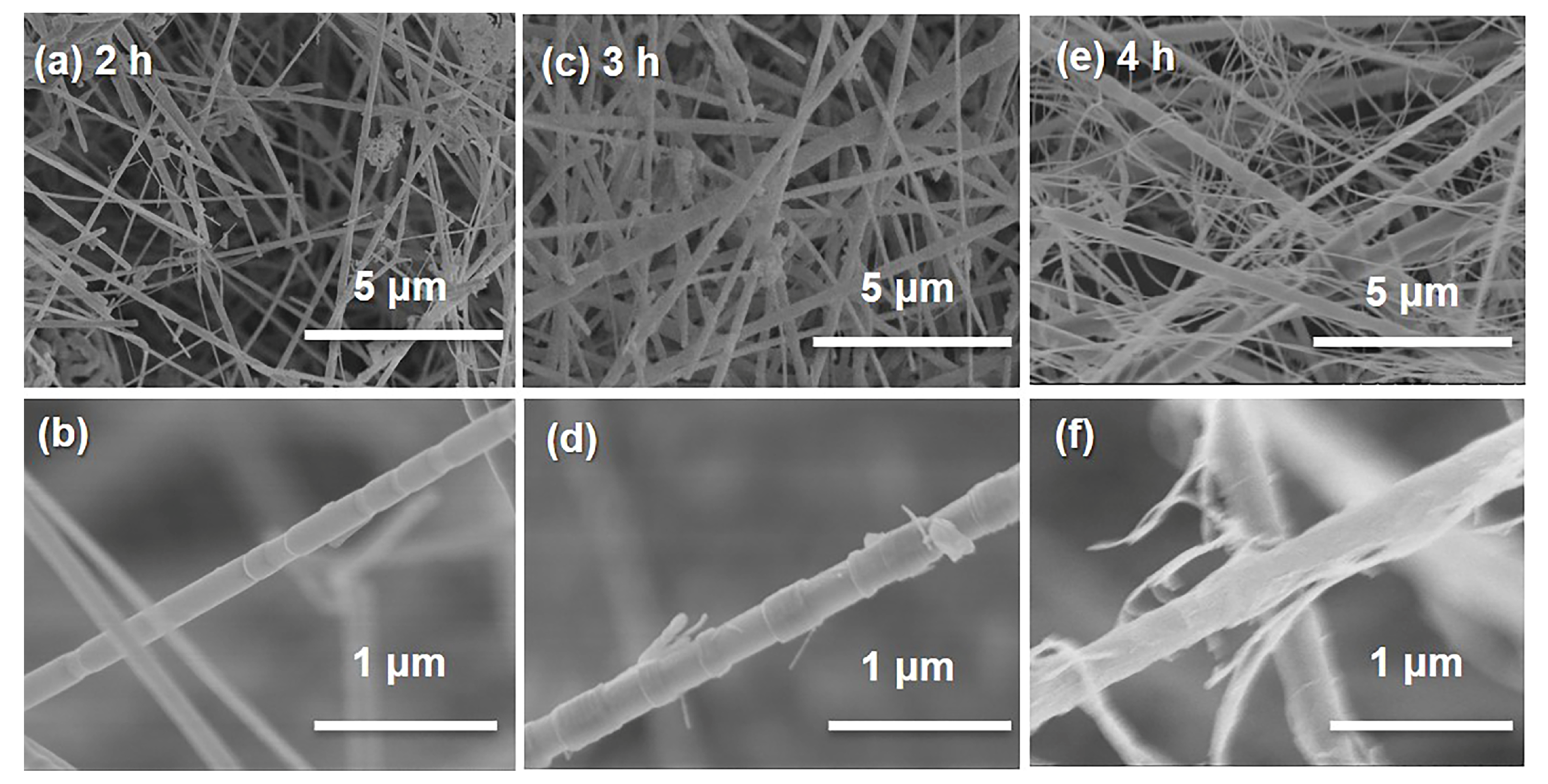 Materials 15 03522 g003