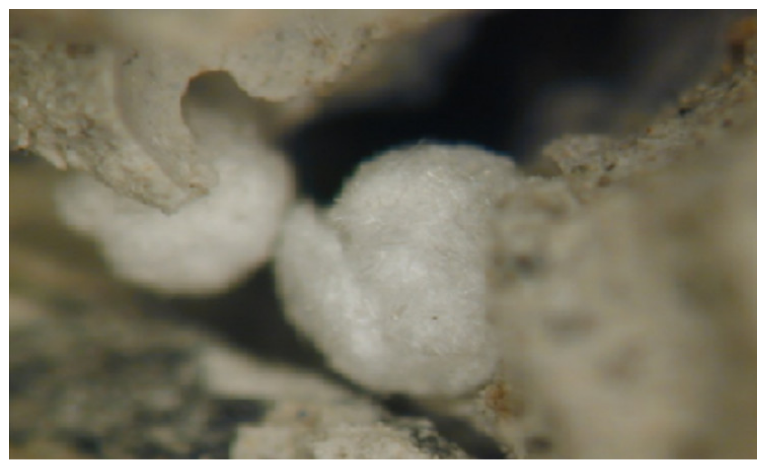 Materials 15 05708 g003