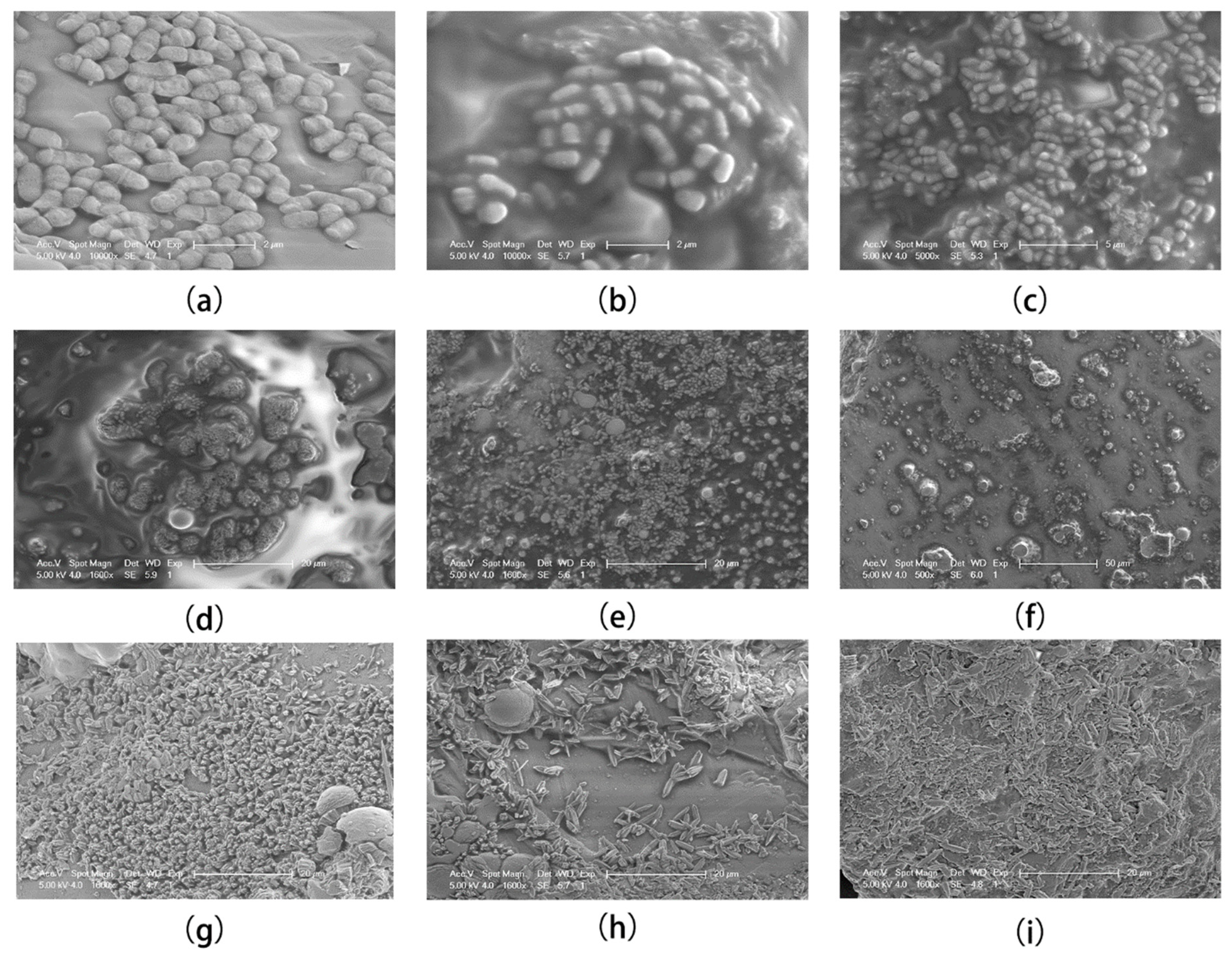 Materials 15 07754 g003