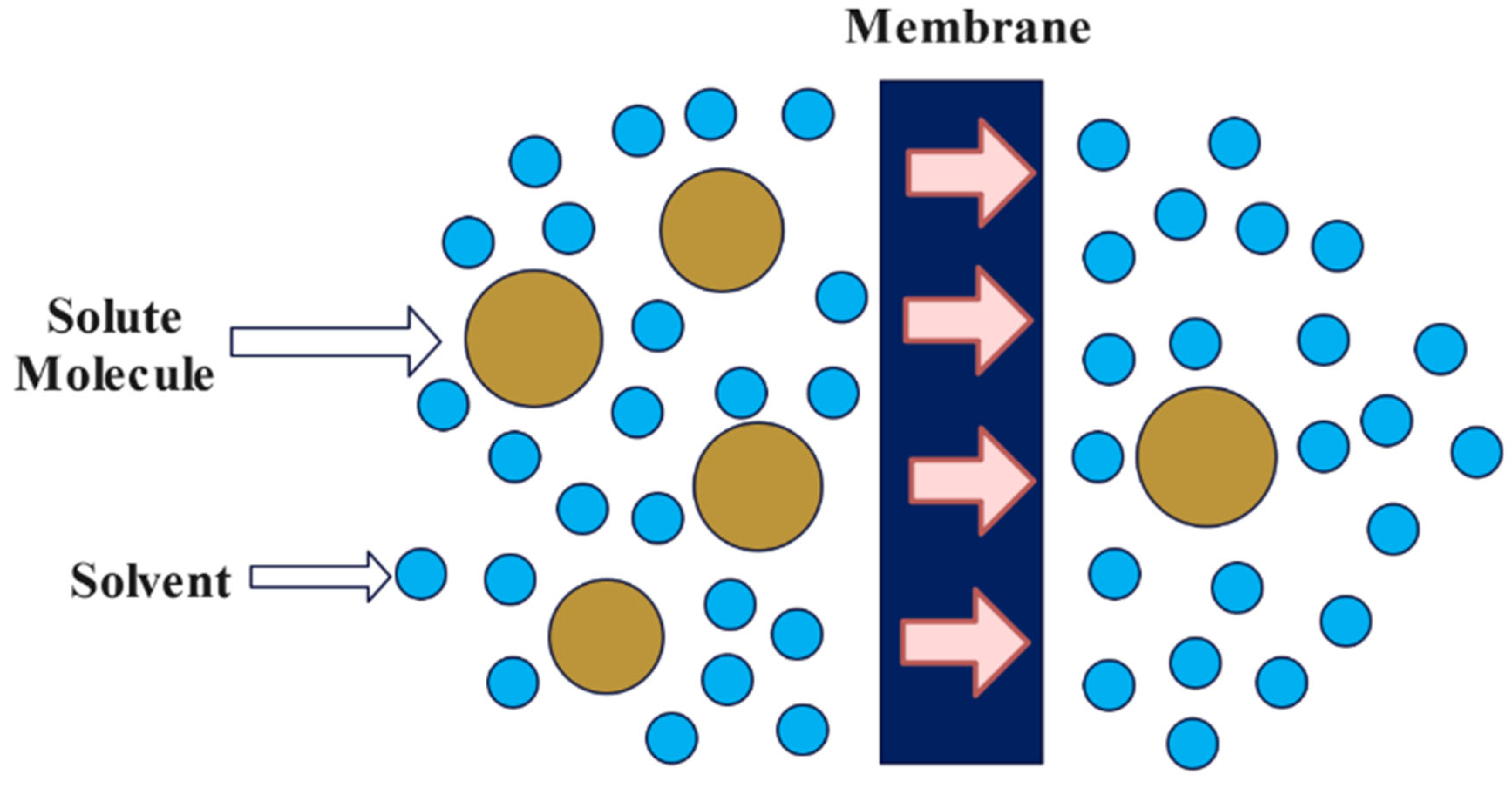 Materials 15 08818 g004