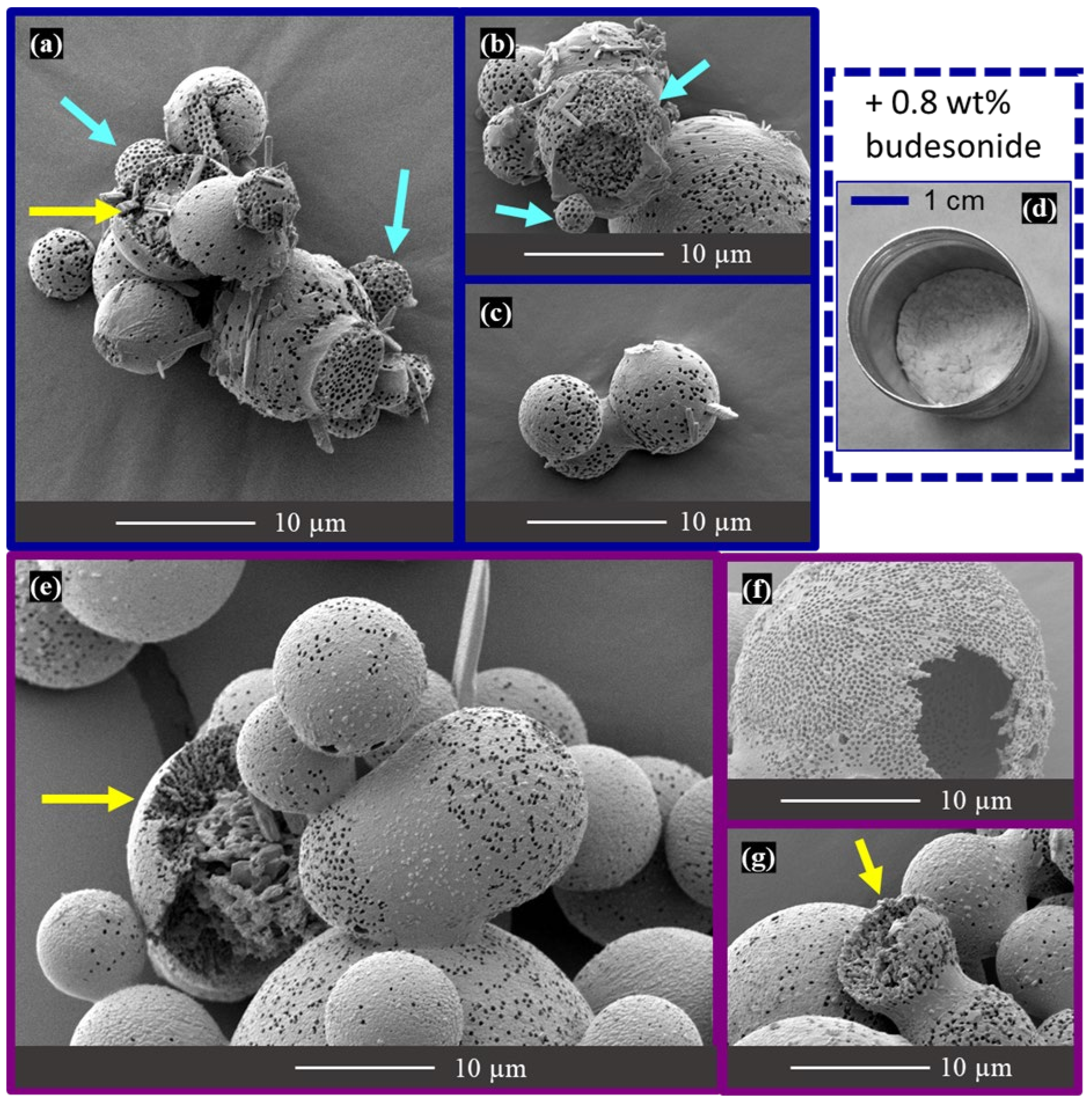 Materials 16 00025 g009