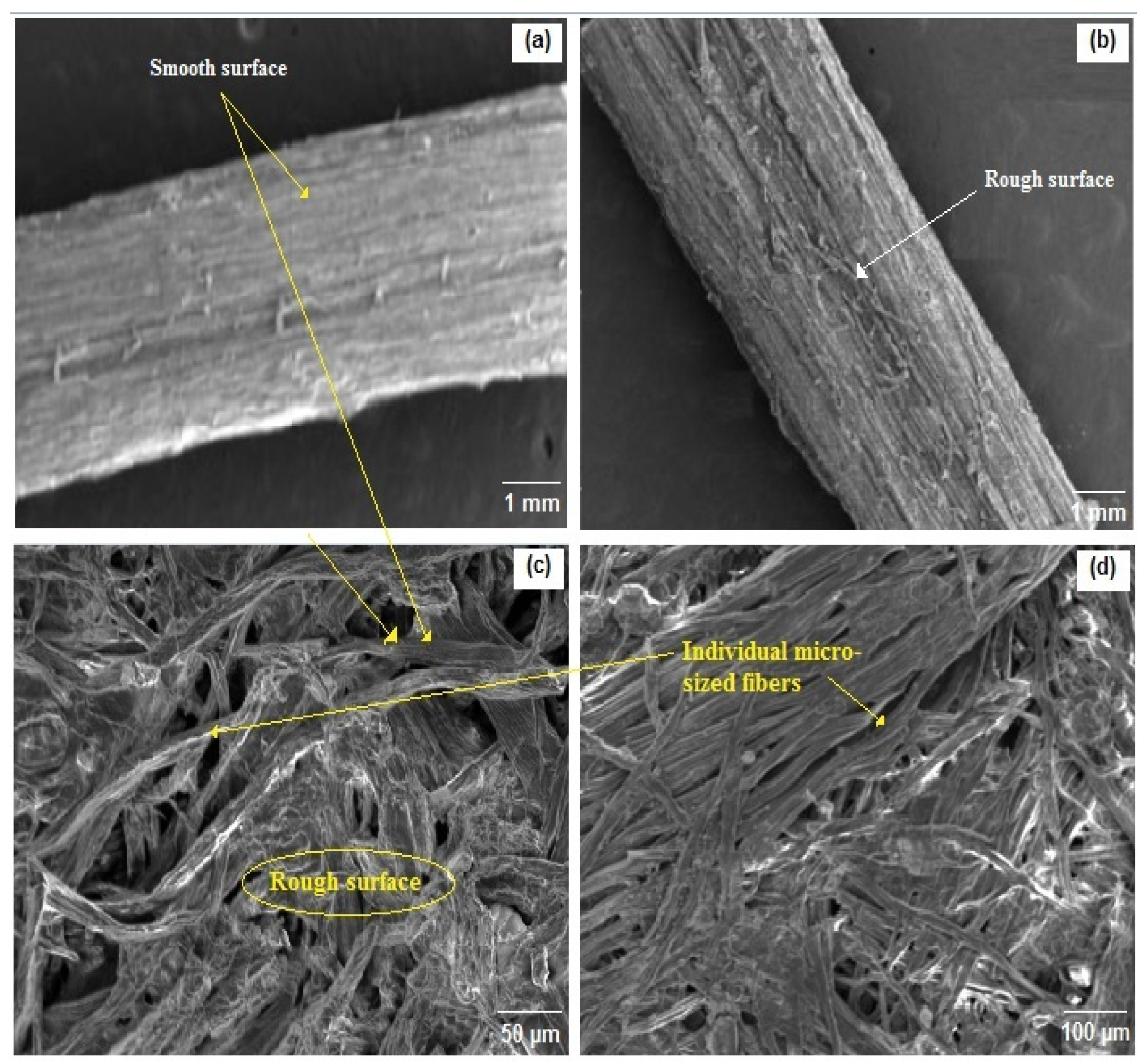 Materials 16 00385 g005