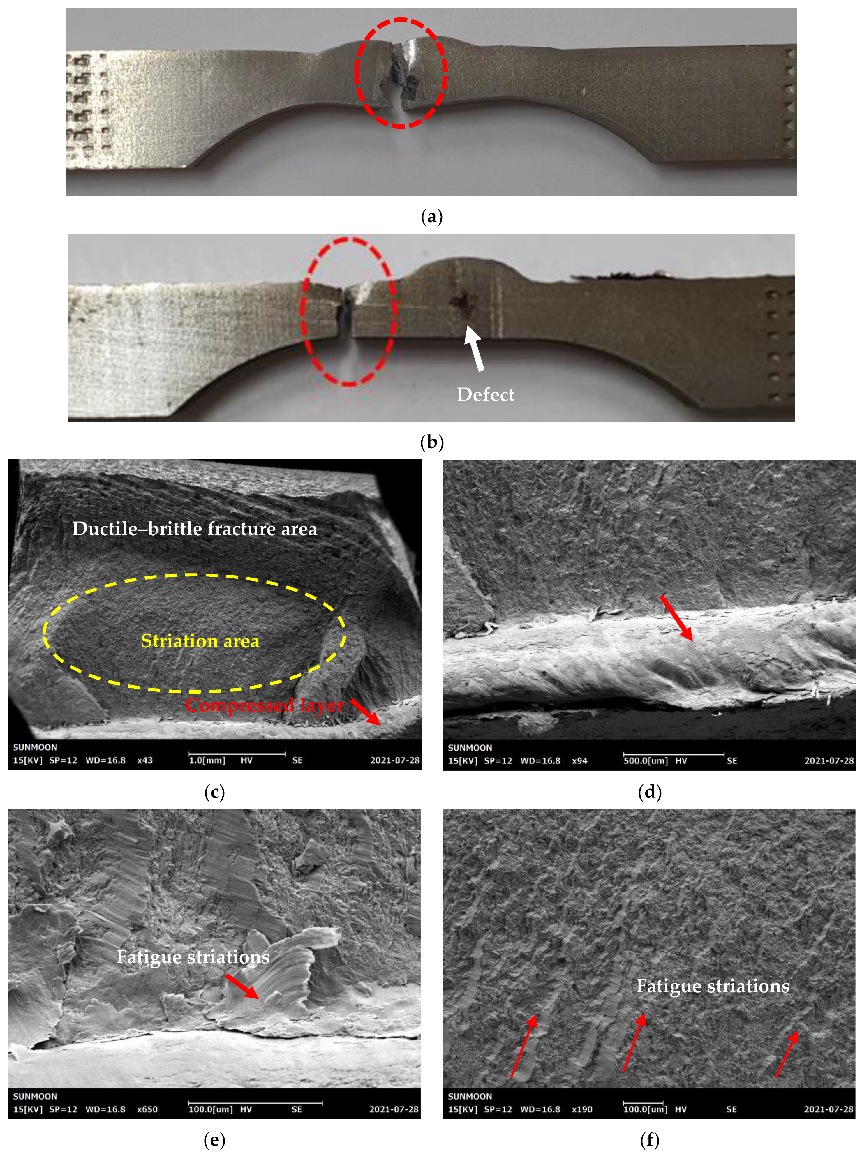 Materials 16 00463 g010a