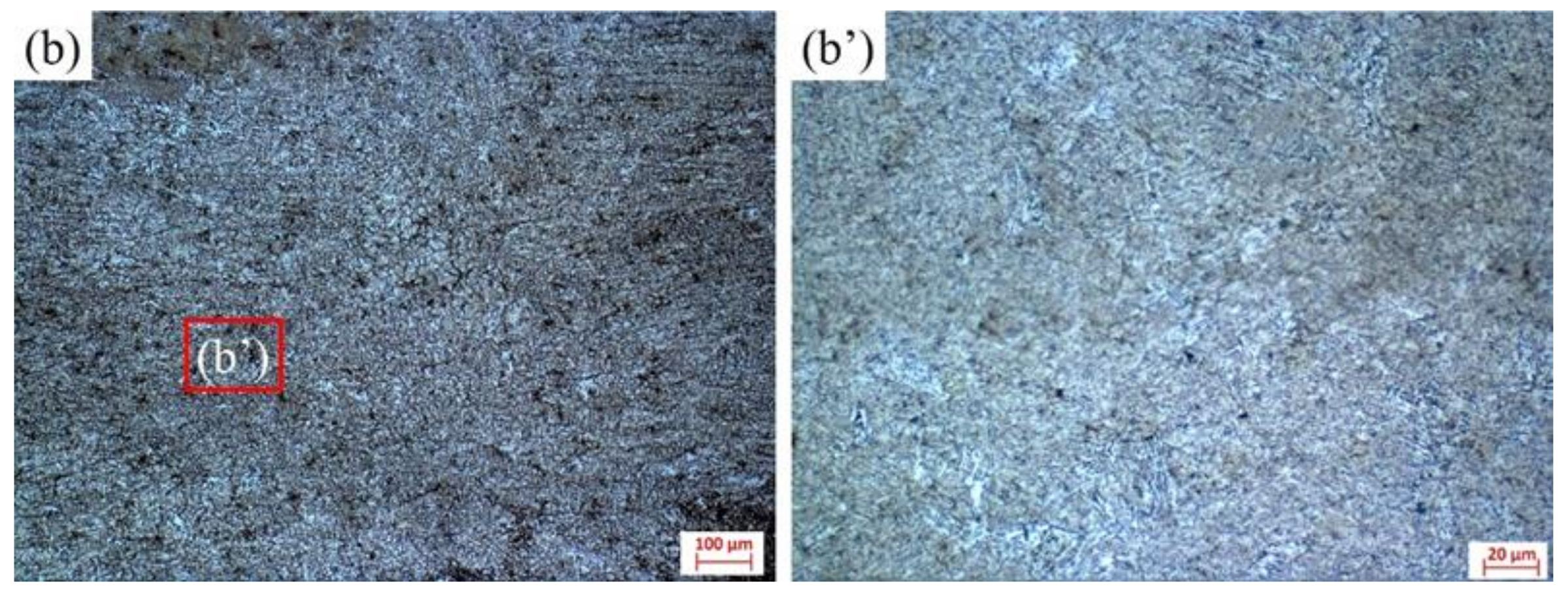 Materials 16 00502 g013b