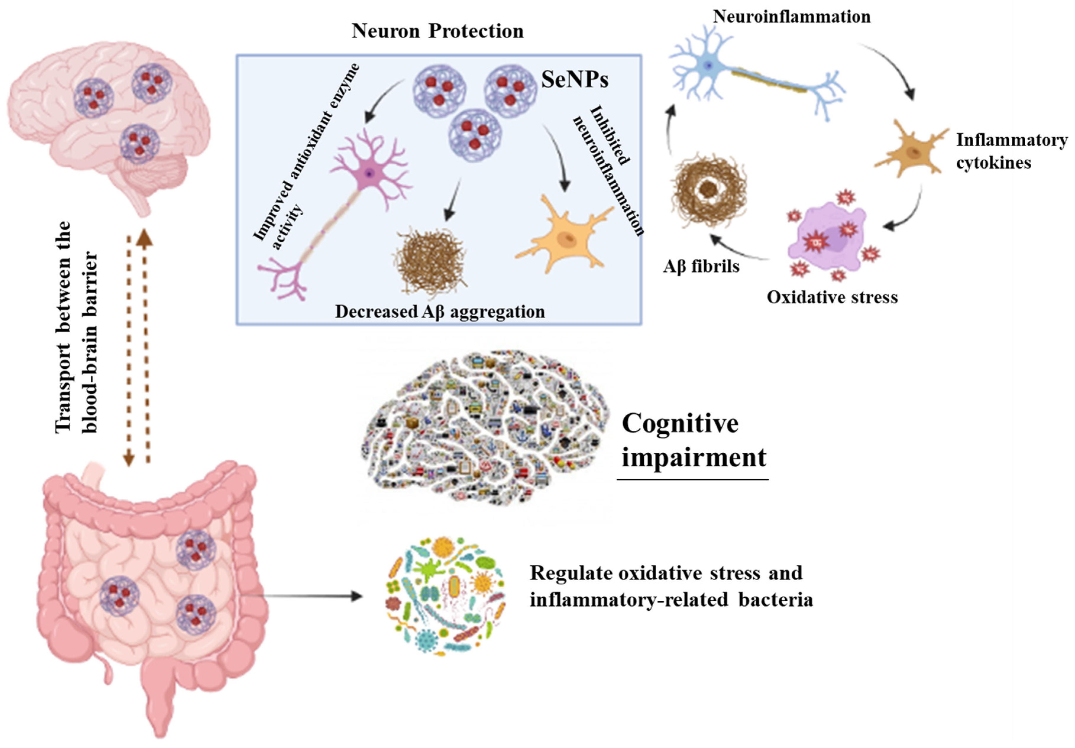 Materials 16 00699 g005