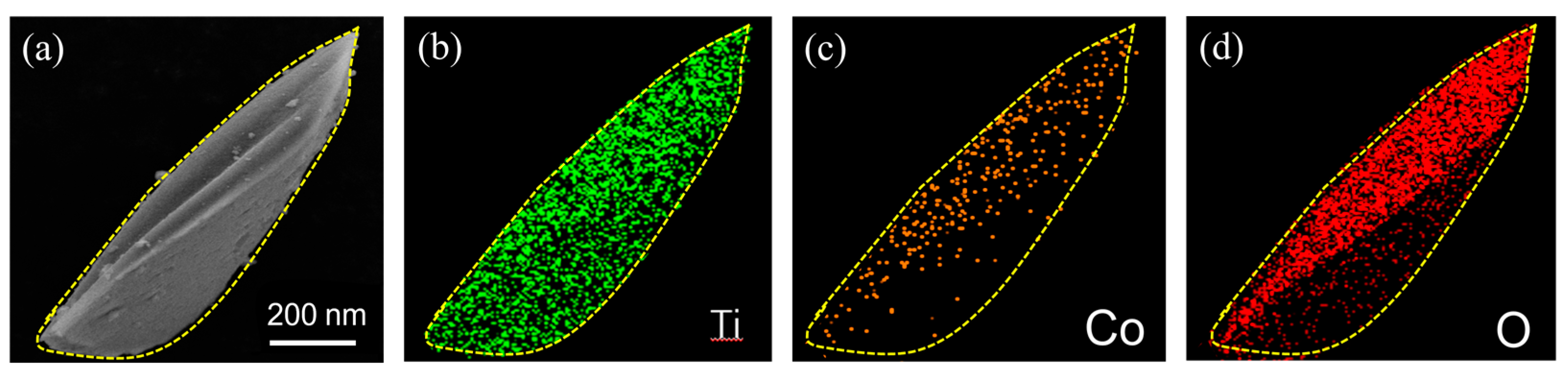 Materials 16 01325 g004
