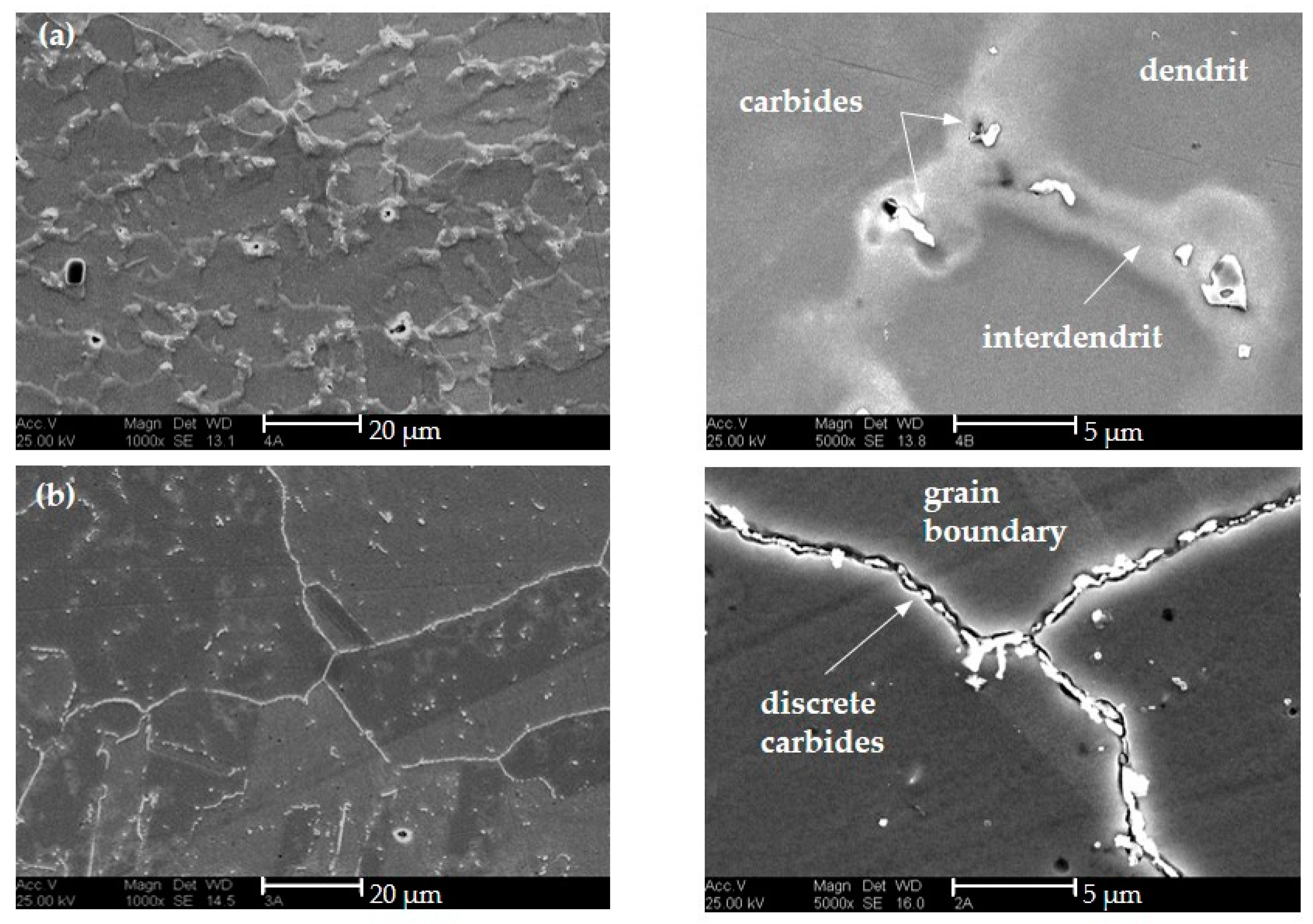 Materials 16 01715 g017