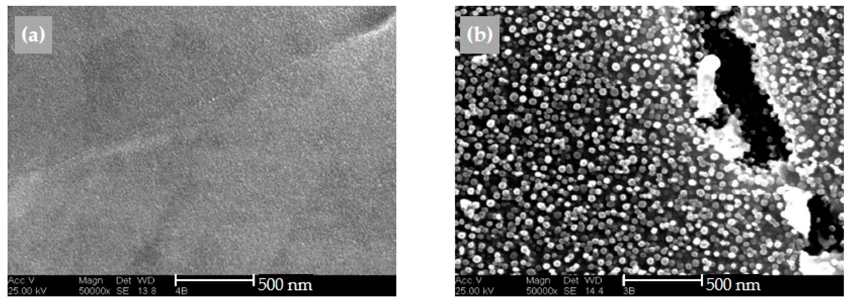 Materials 16 01715 g018