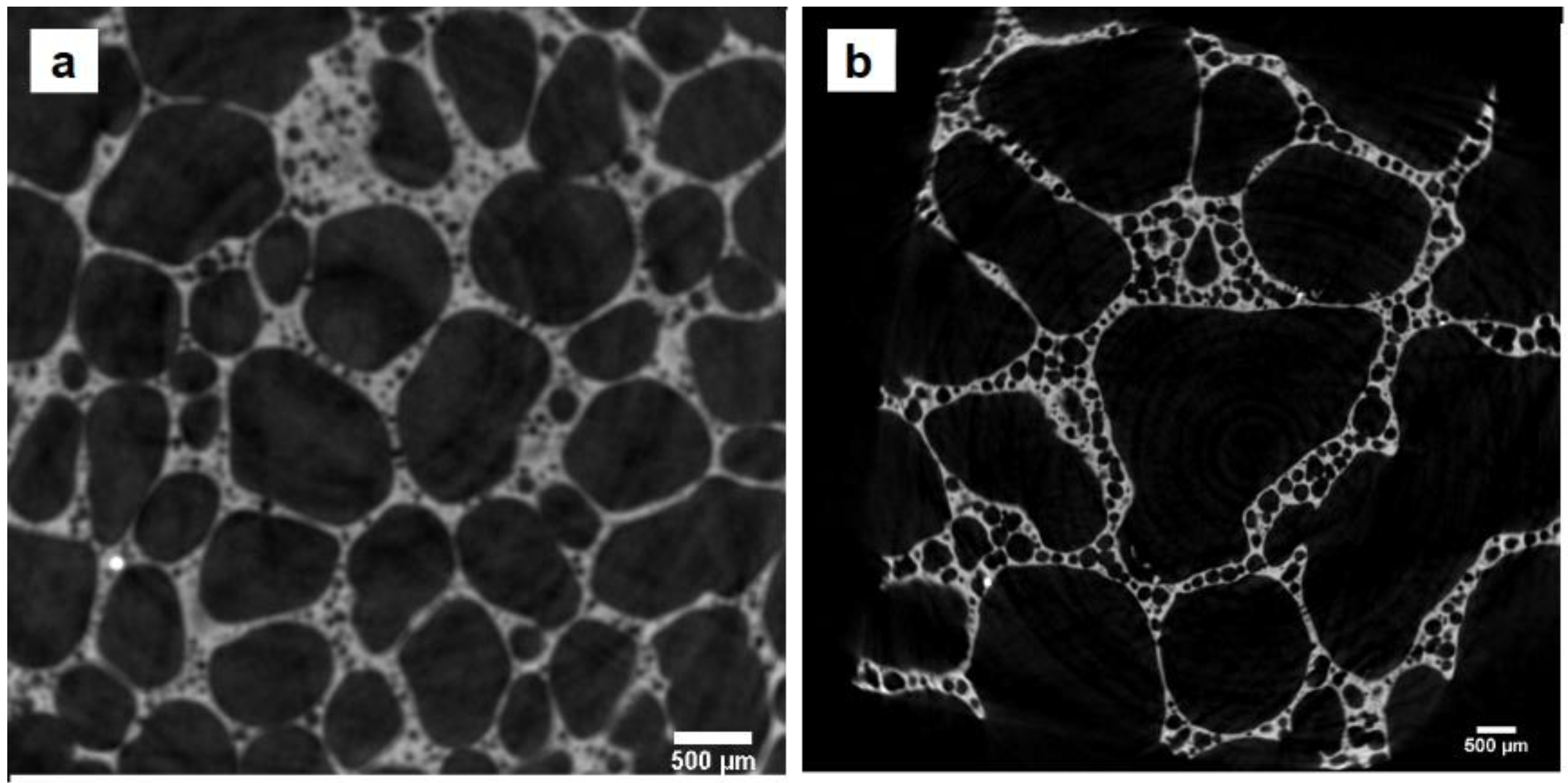 Materials 16 01721 g001