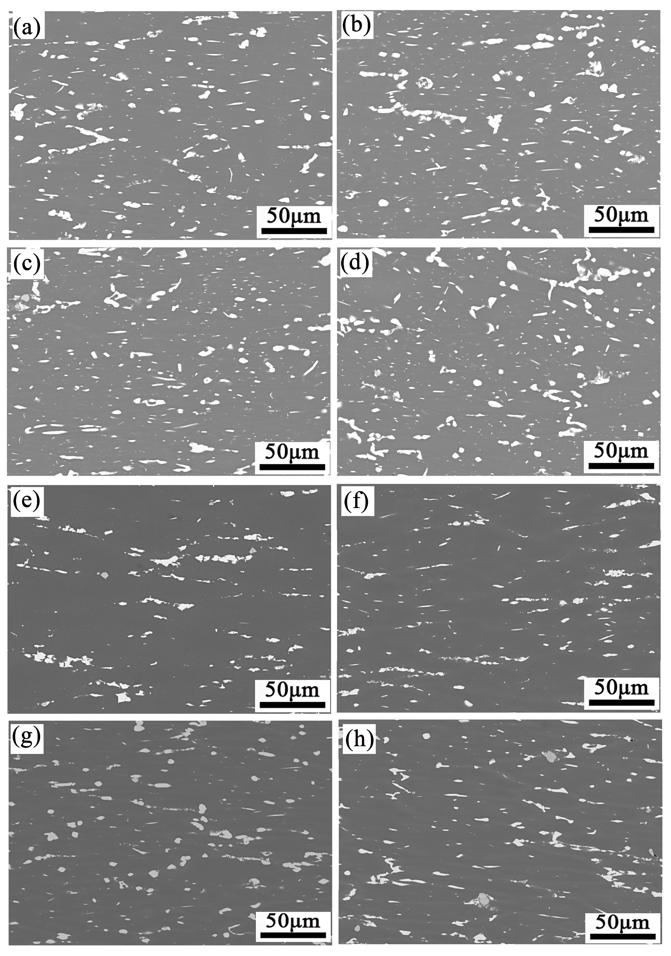 Materials 16 01880 g015