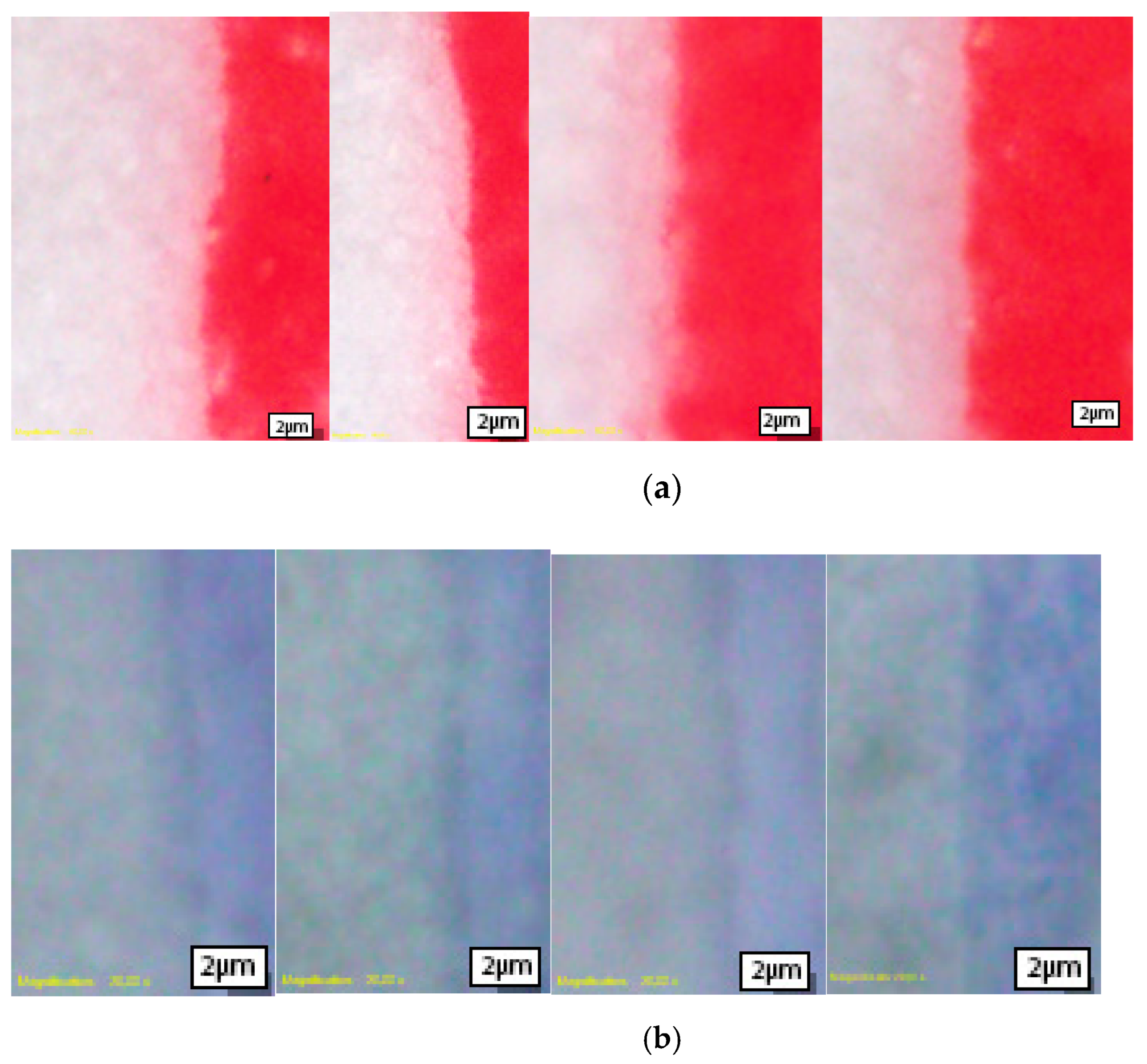Materials 16 03125 g002